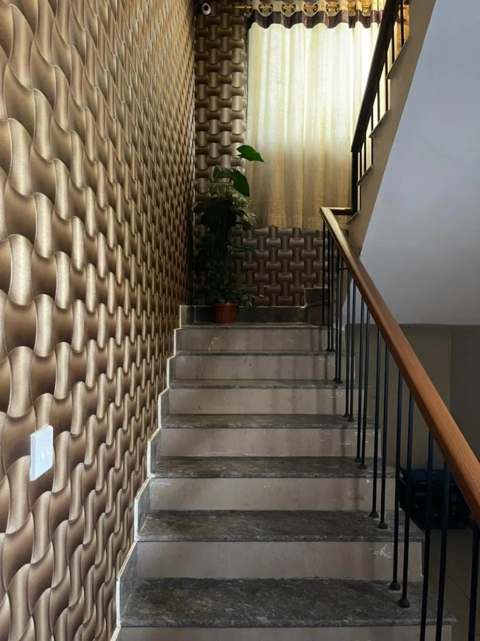 Hotel Executive Lodge