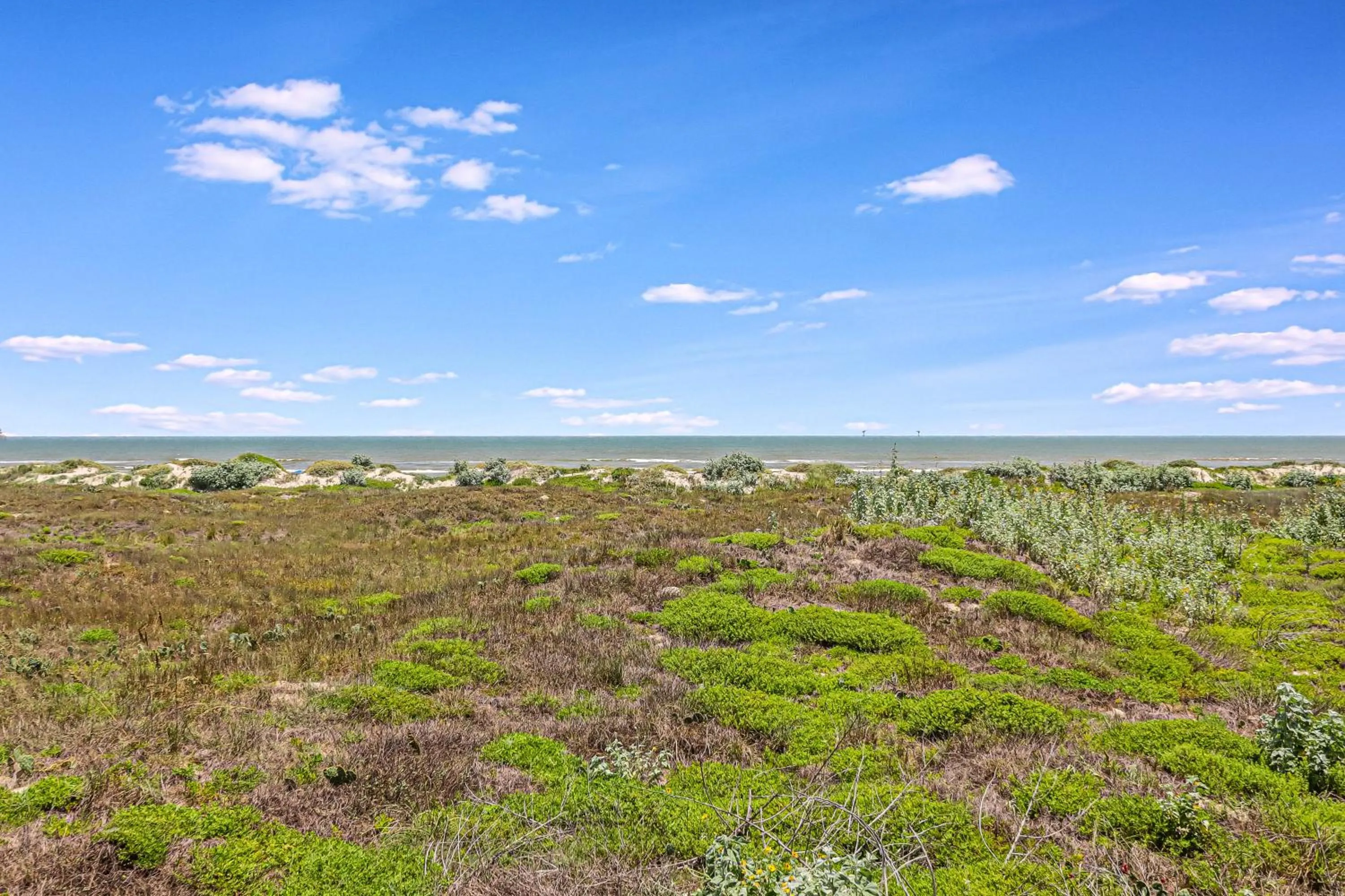 Other in Lost and Found GW110