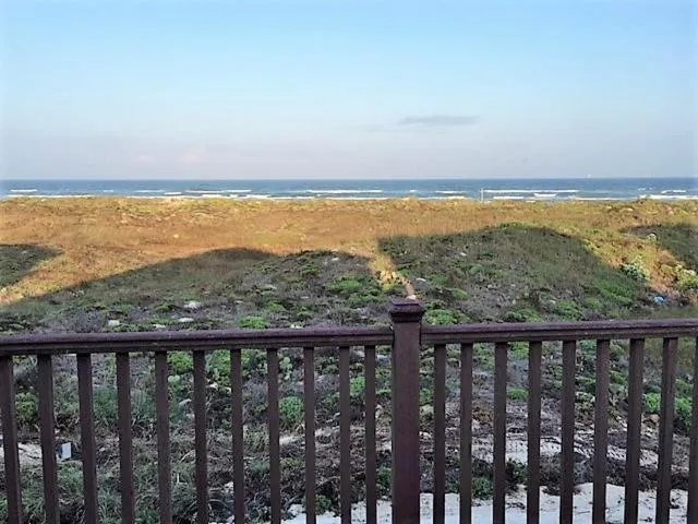 Other in Lost and Found GW110