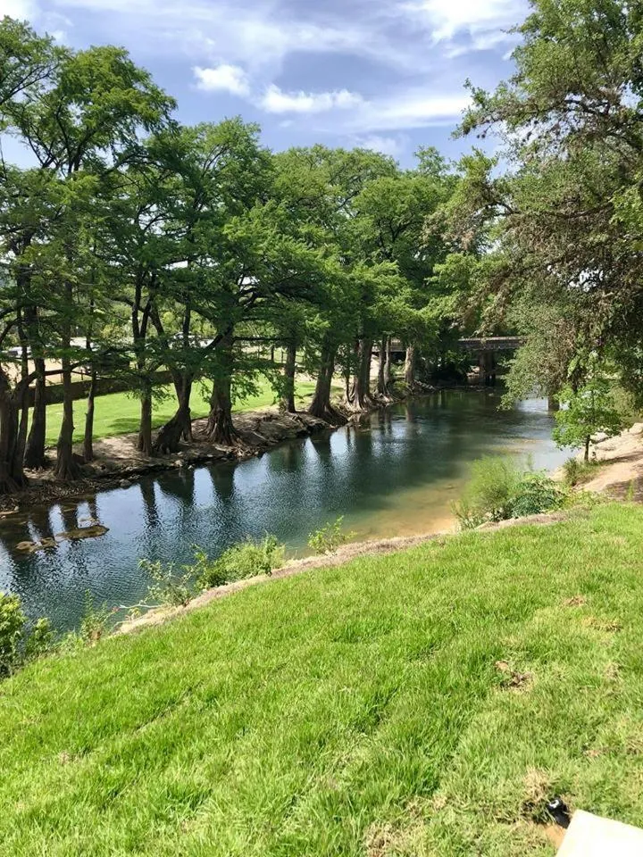 Other in The White House on the Horseshoe