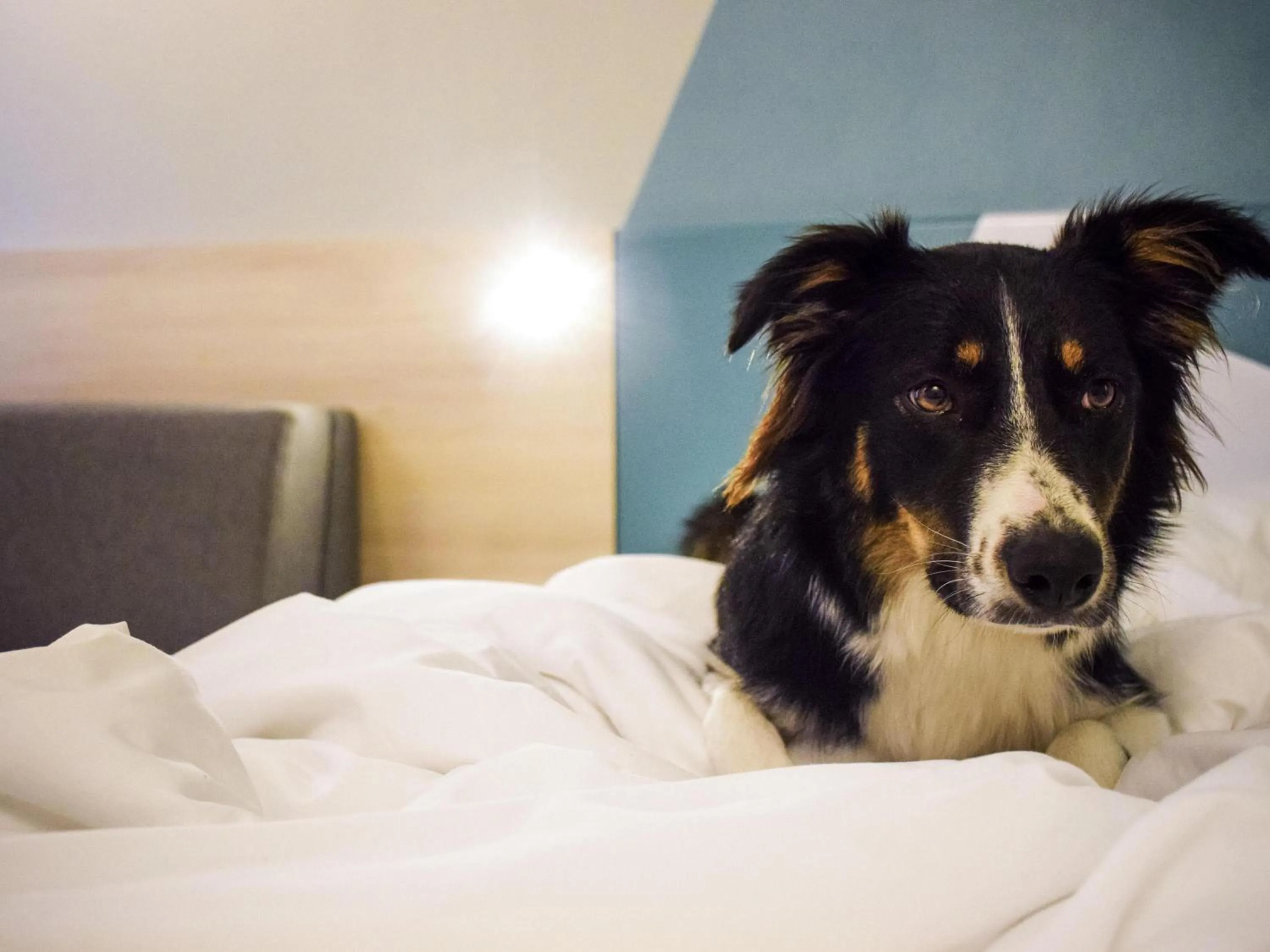 Other in ibis Budget Millau Viaduc