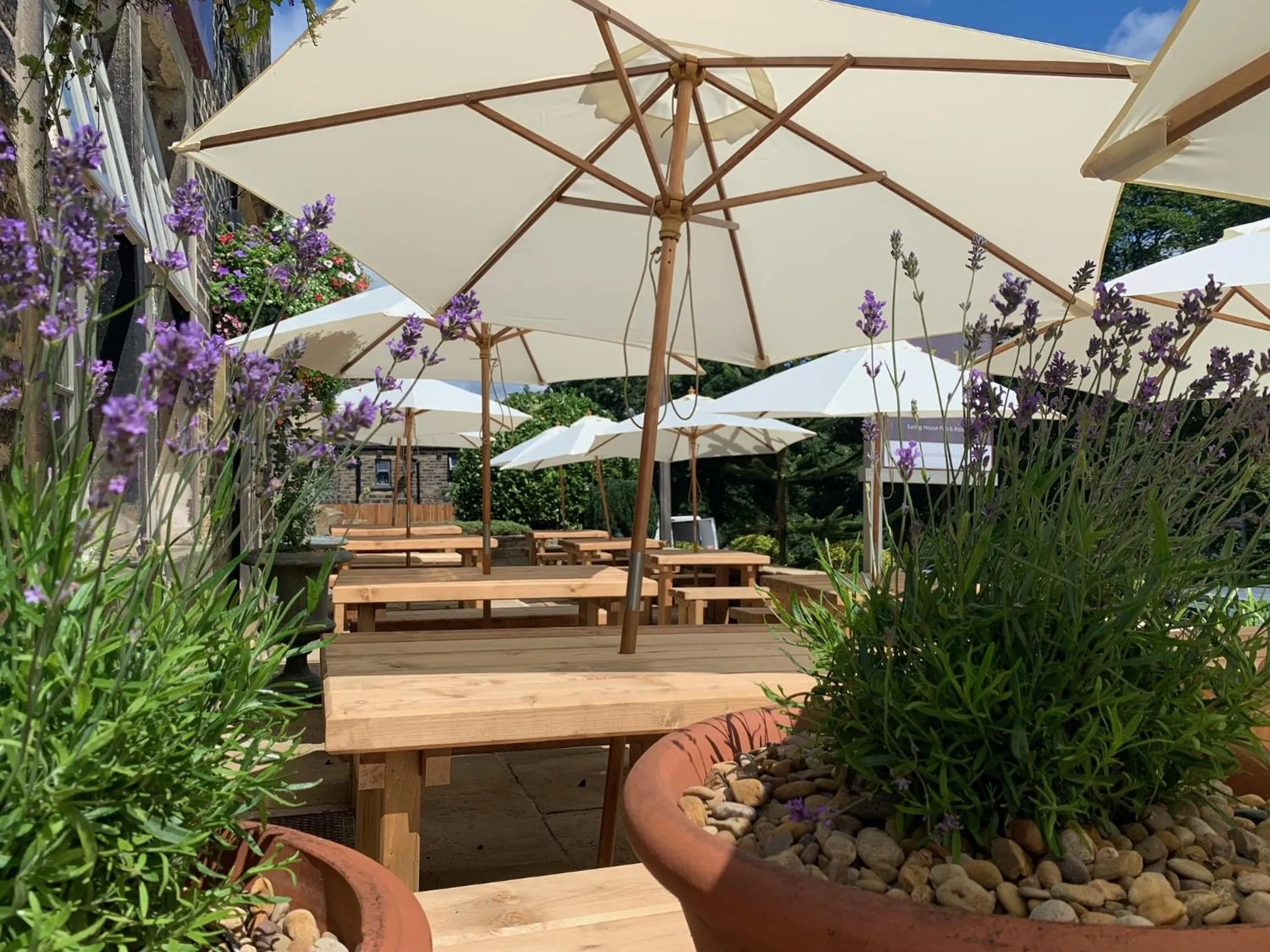 Garden in The Malthouse