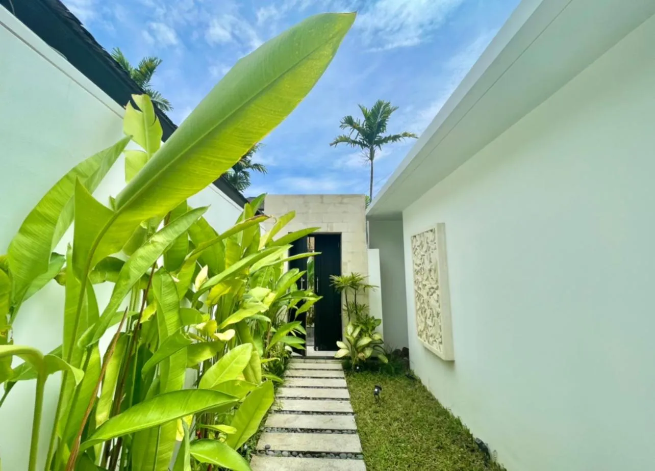 Garden in Alami Luxury Villa