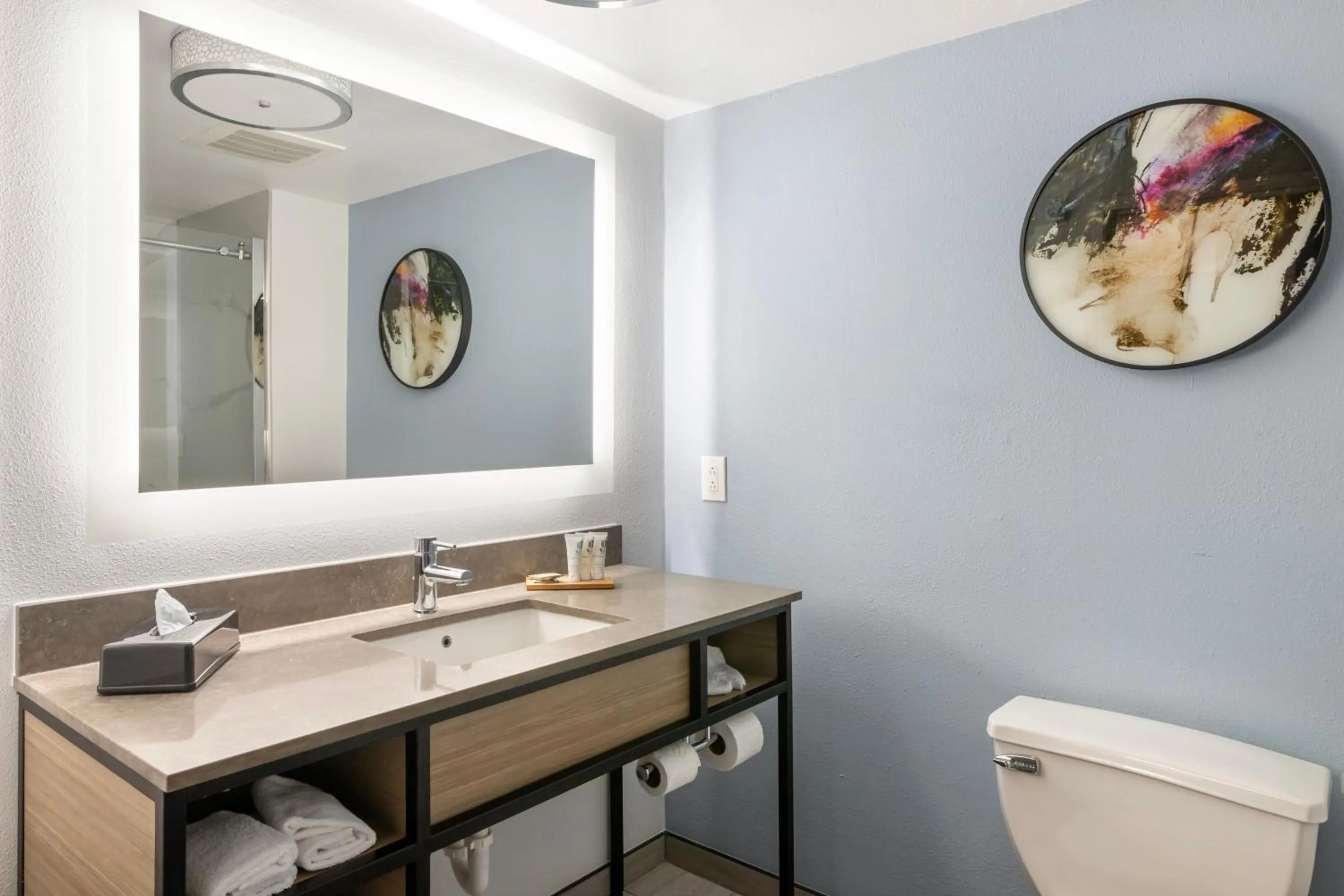 Bathroom in Country Inn & Suites By Radisson, Savannah Airport, GA