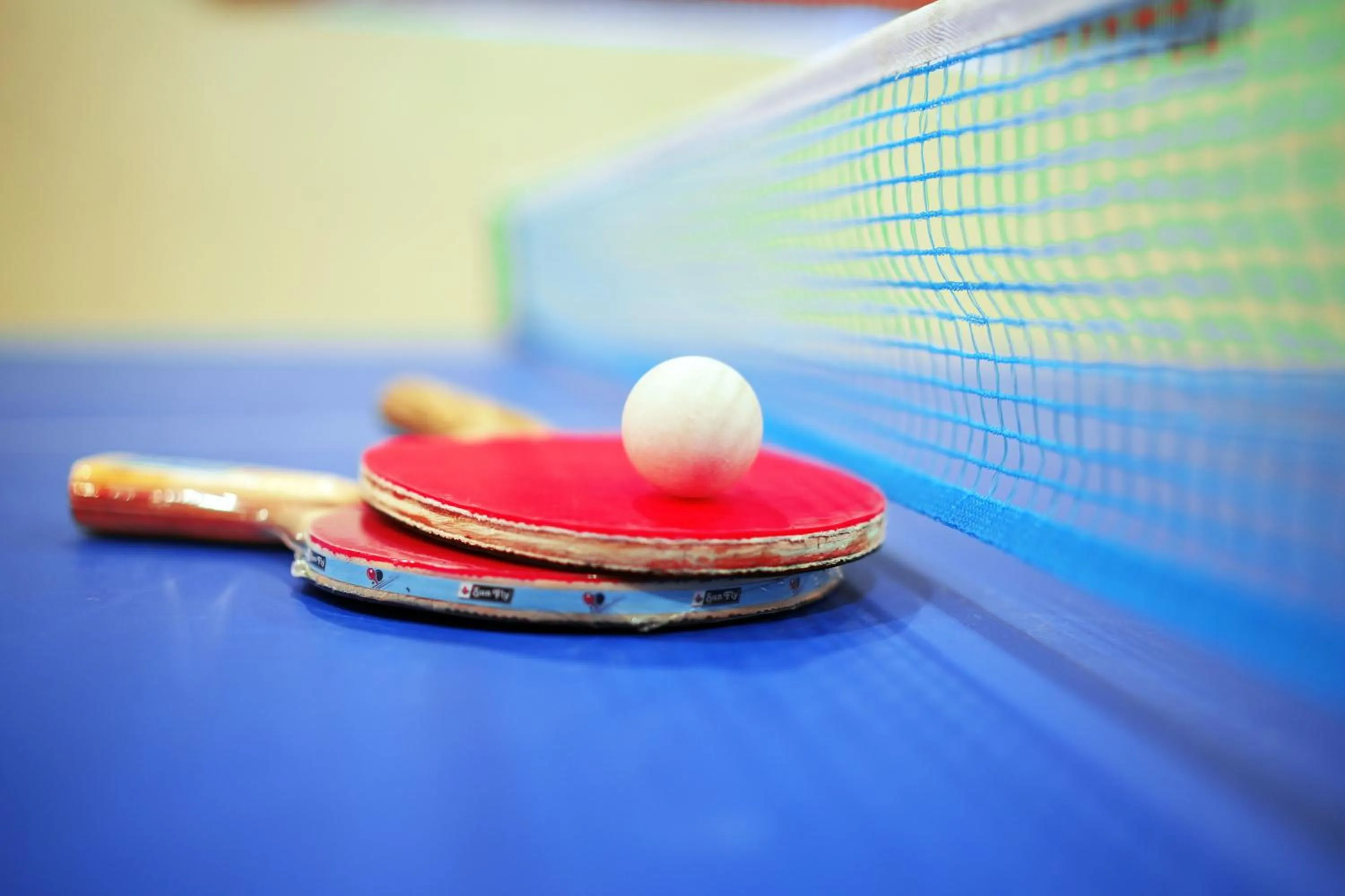 Game Room in The Jungle Mountain Retreat