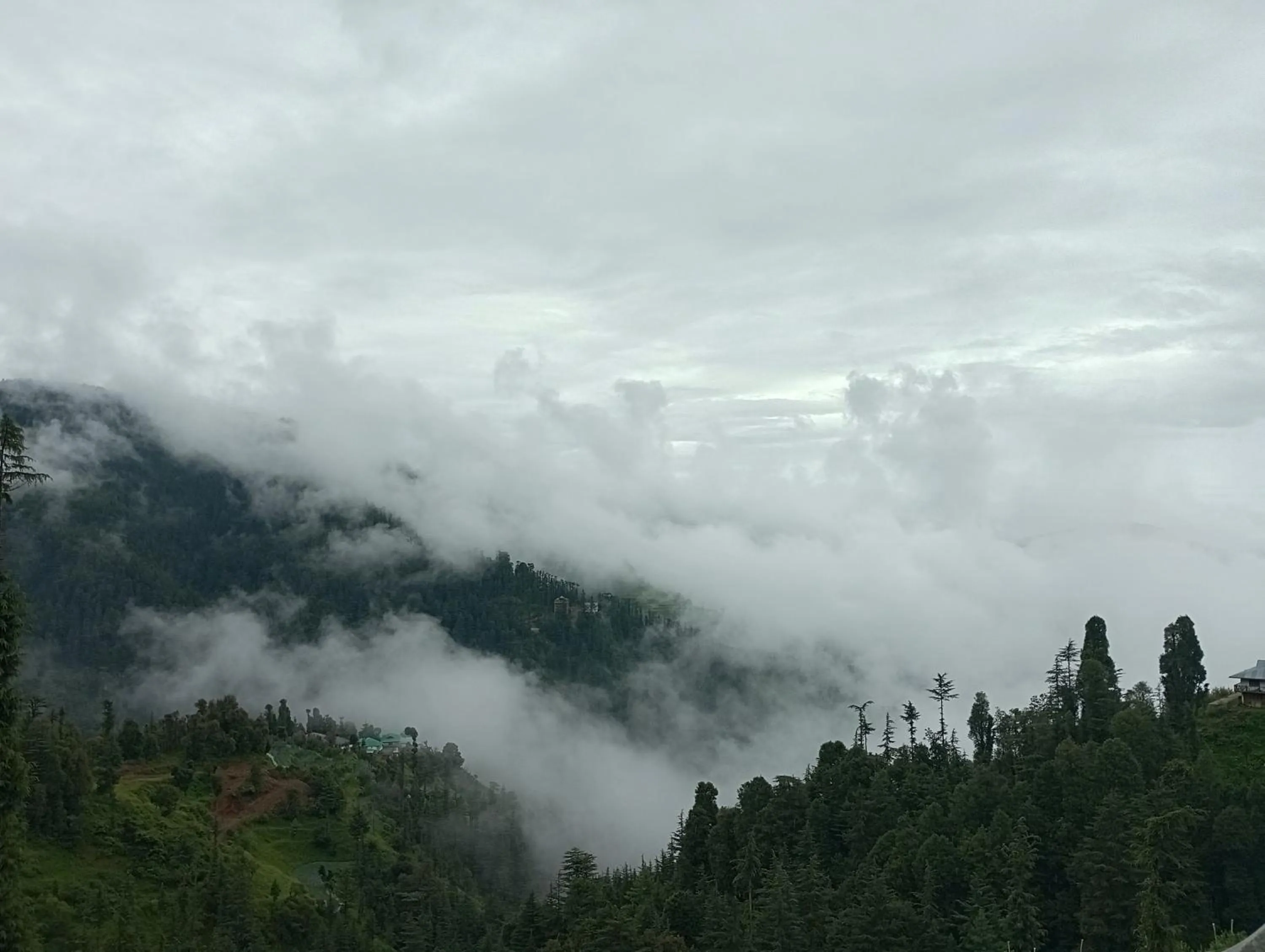 View (from property/room) in The Jungle Mountain Retreat
