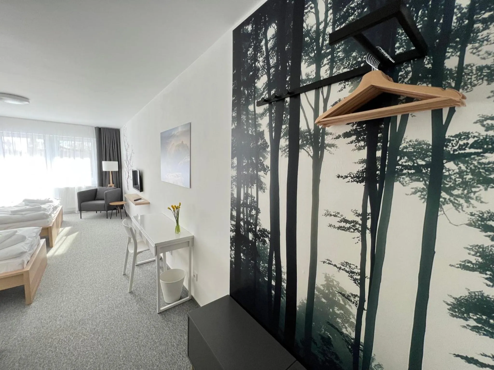 Photo of the whole room in Hotel VARNSDORF