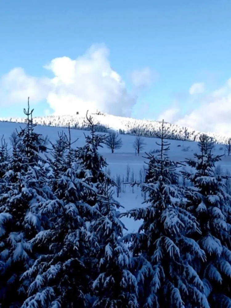 Off site in Joy Aparthotel Keilberg