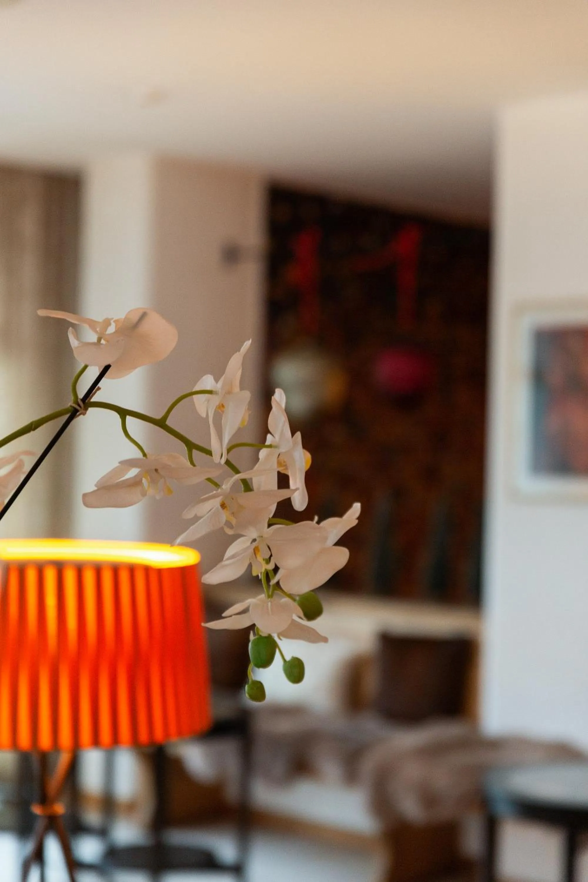 Hotel Europa Suites St Moritz