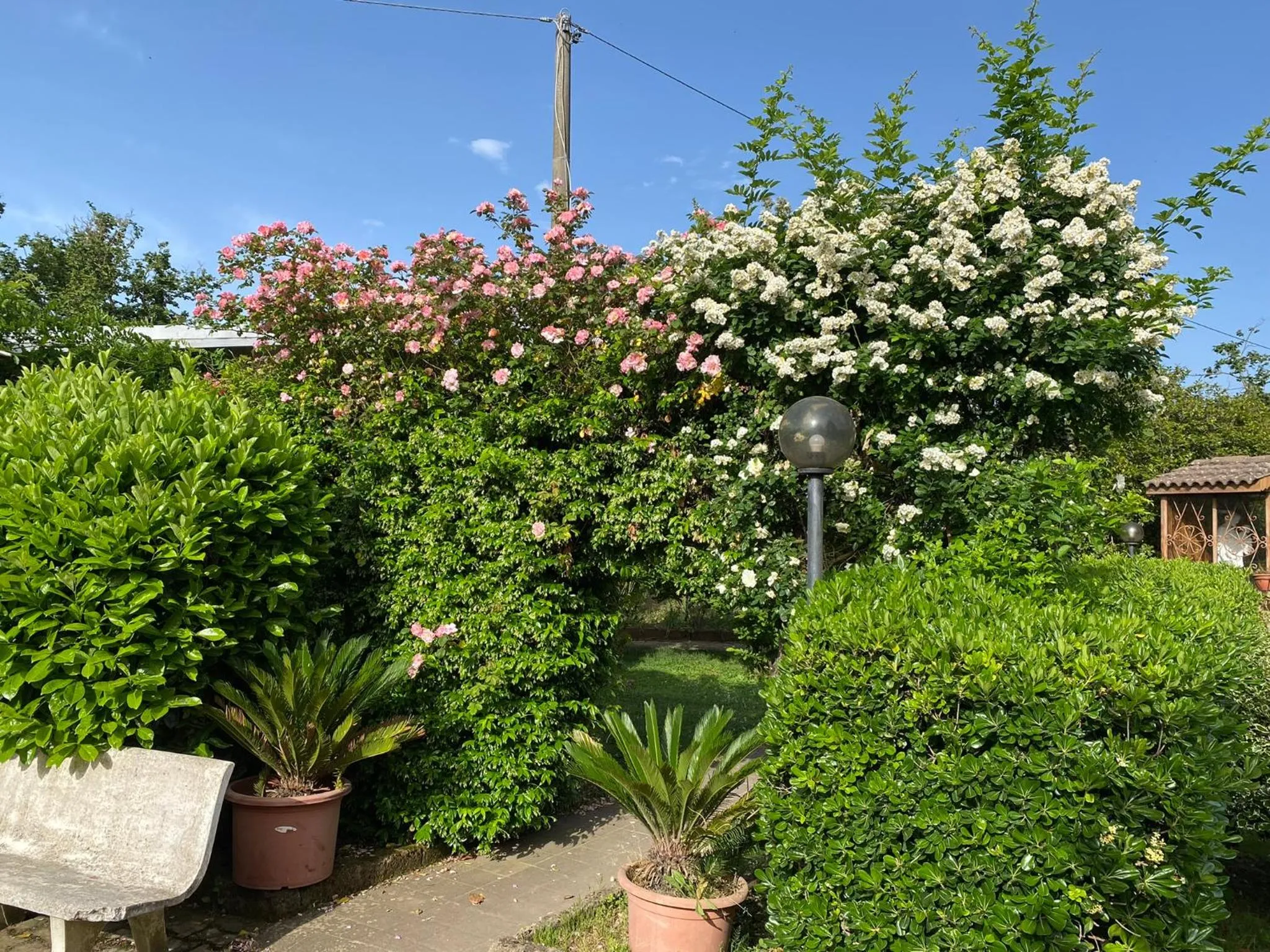 Garden in Santa Maria Apartments