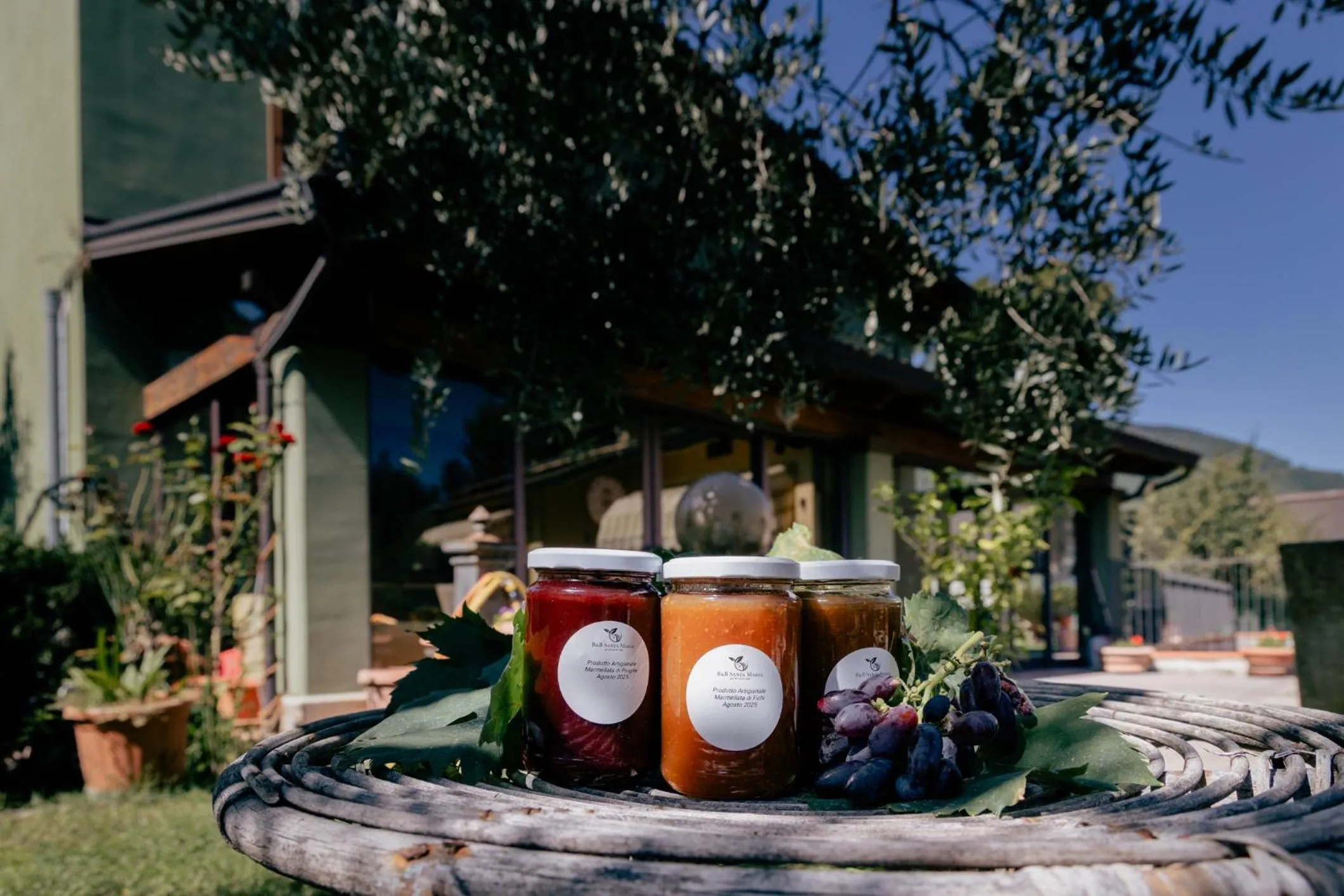 Natural landscape in Santa Maria Apartments