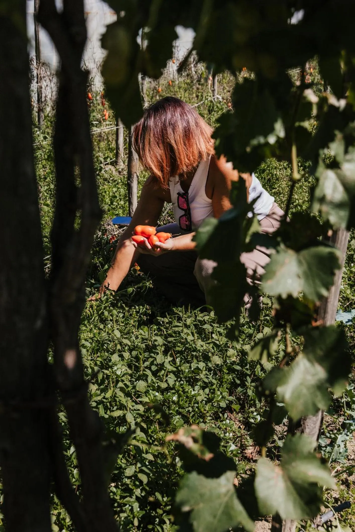 Spring in Santa Maria Apartments