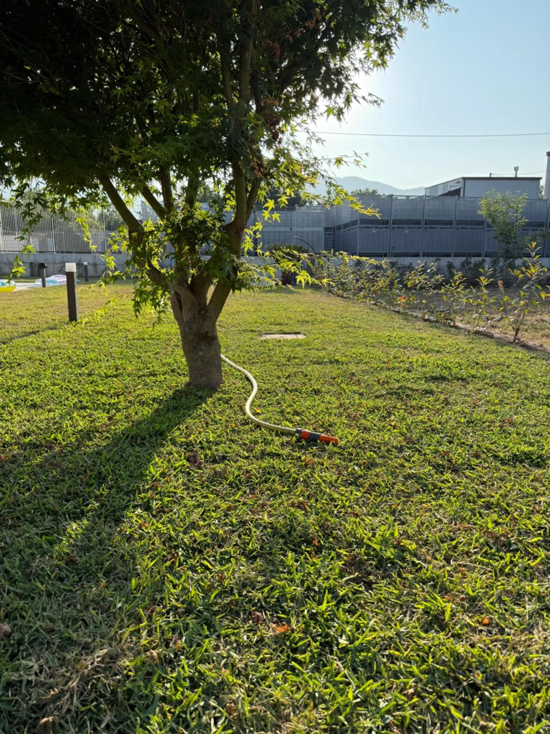 Garden in Santa Maria Apartments