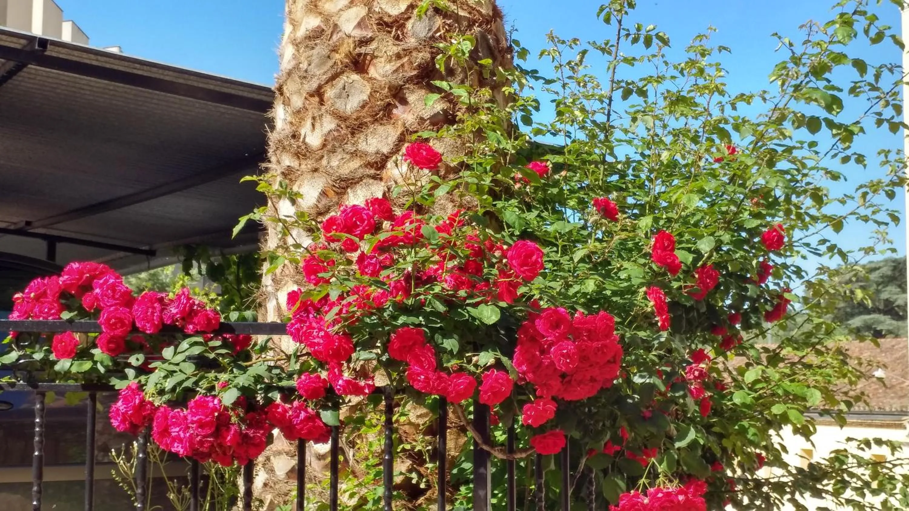 Facade/entrance in Hotel Rural El Molino