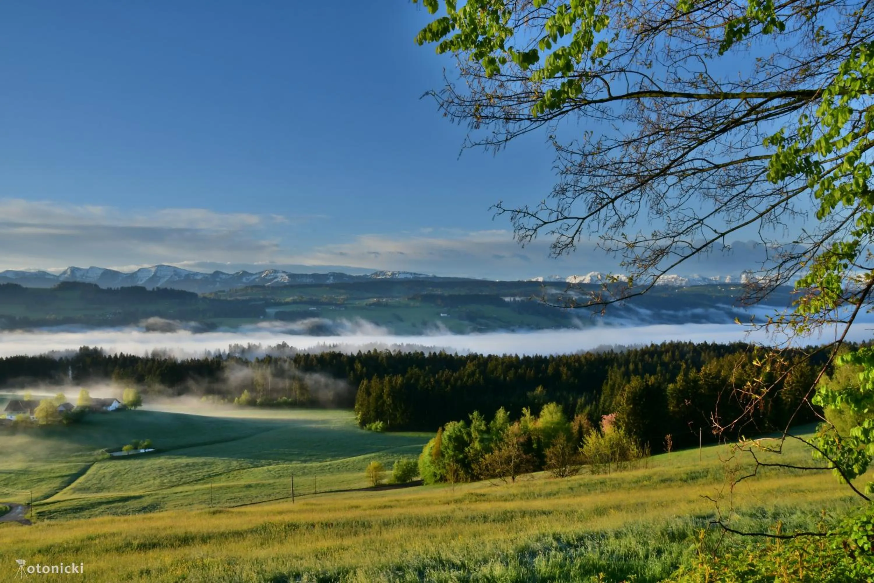 Staff in Lindenberger Hof