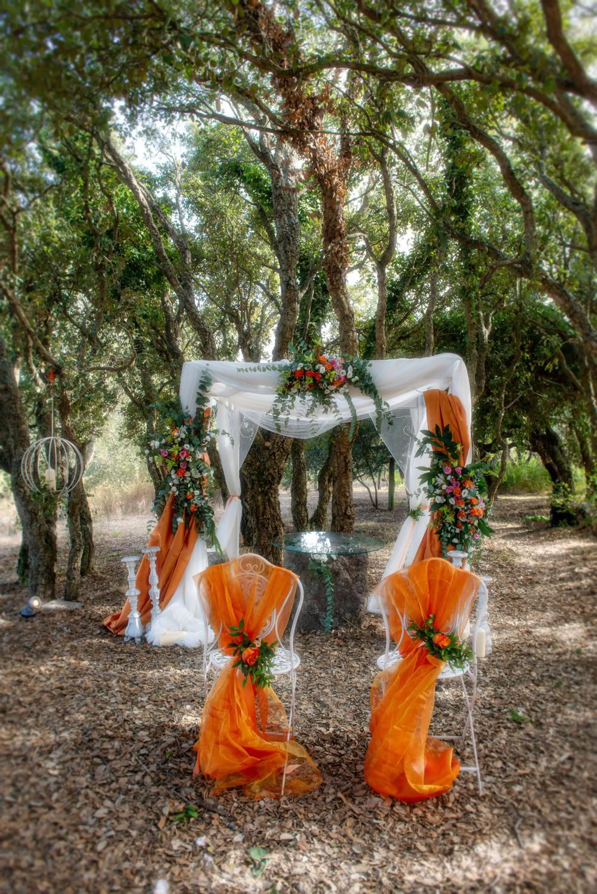 Garden in S'ena Hotel
