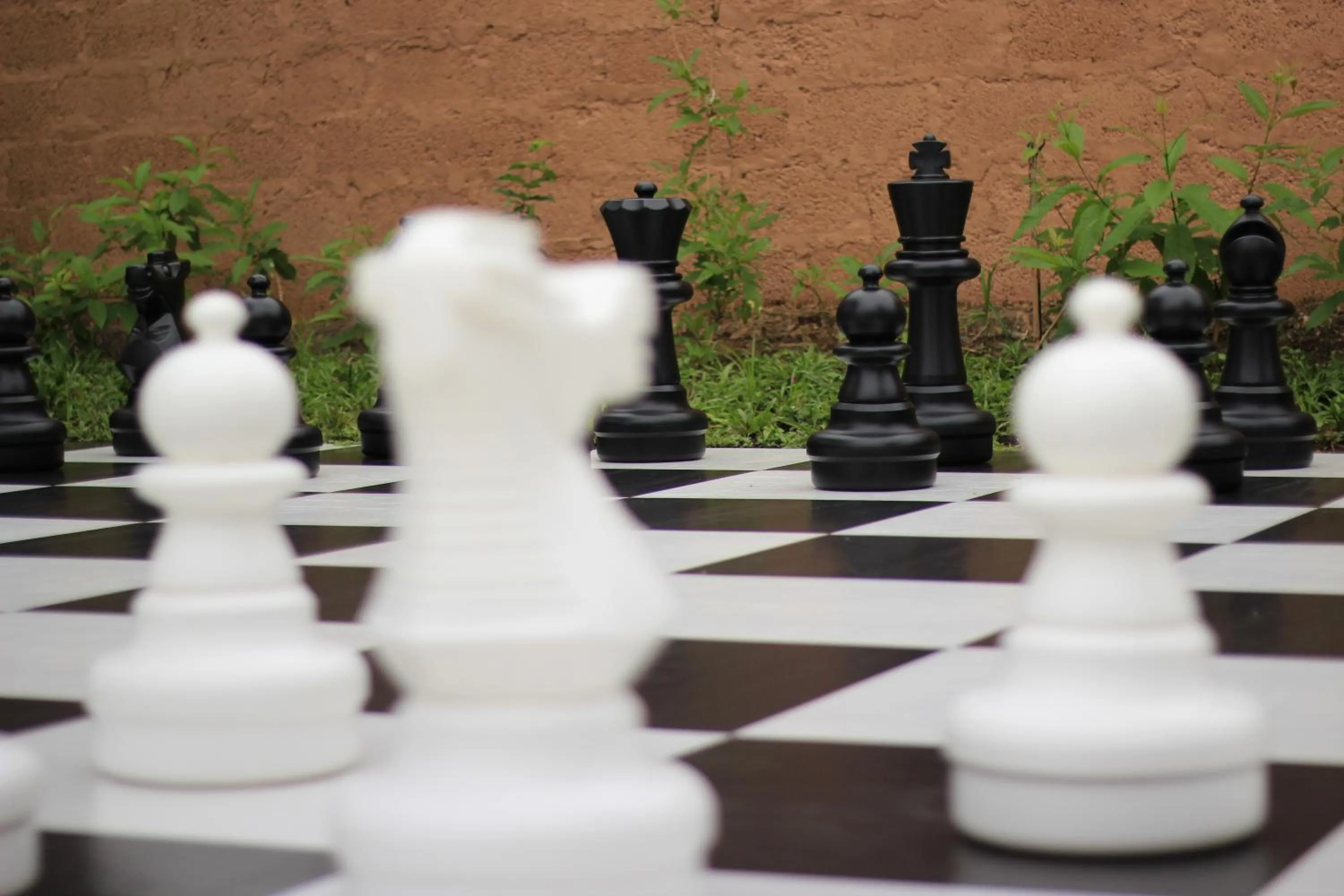 Game Room in Regenta Jungle Resort Kabini Springs