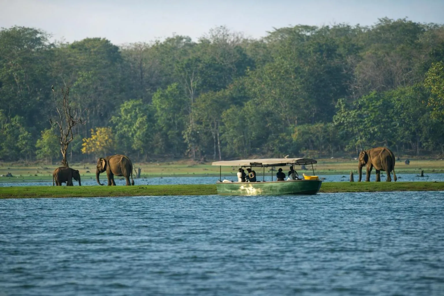 Activities in Regenta Jungle Resort Kabini Springs