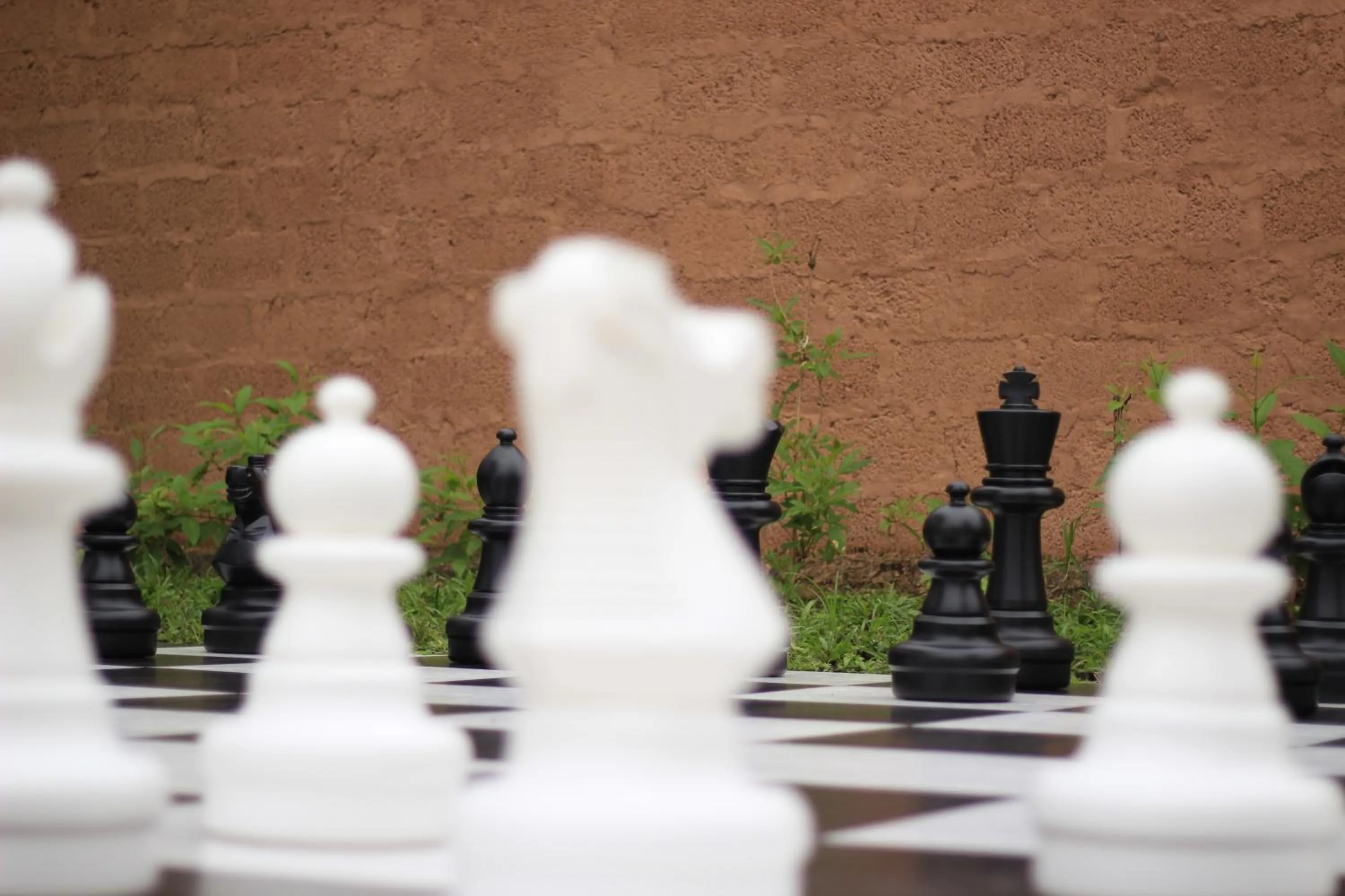 acessibility in Regenta Jungle Resort Kabini Springs