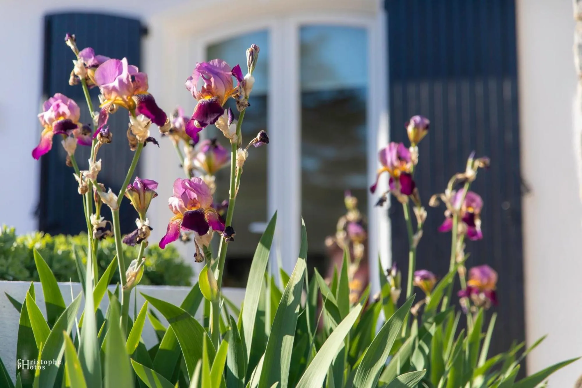 Spring in Croissant de Lune