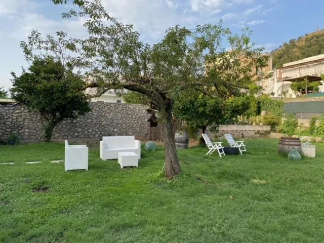 Garden in Numero20 B&B