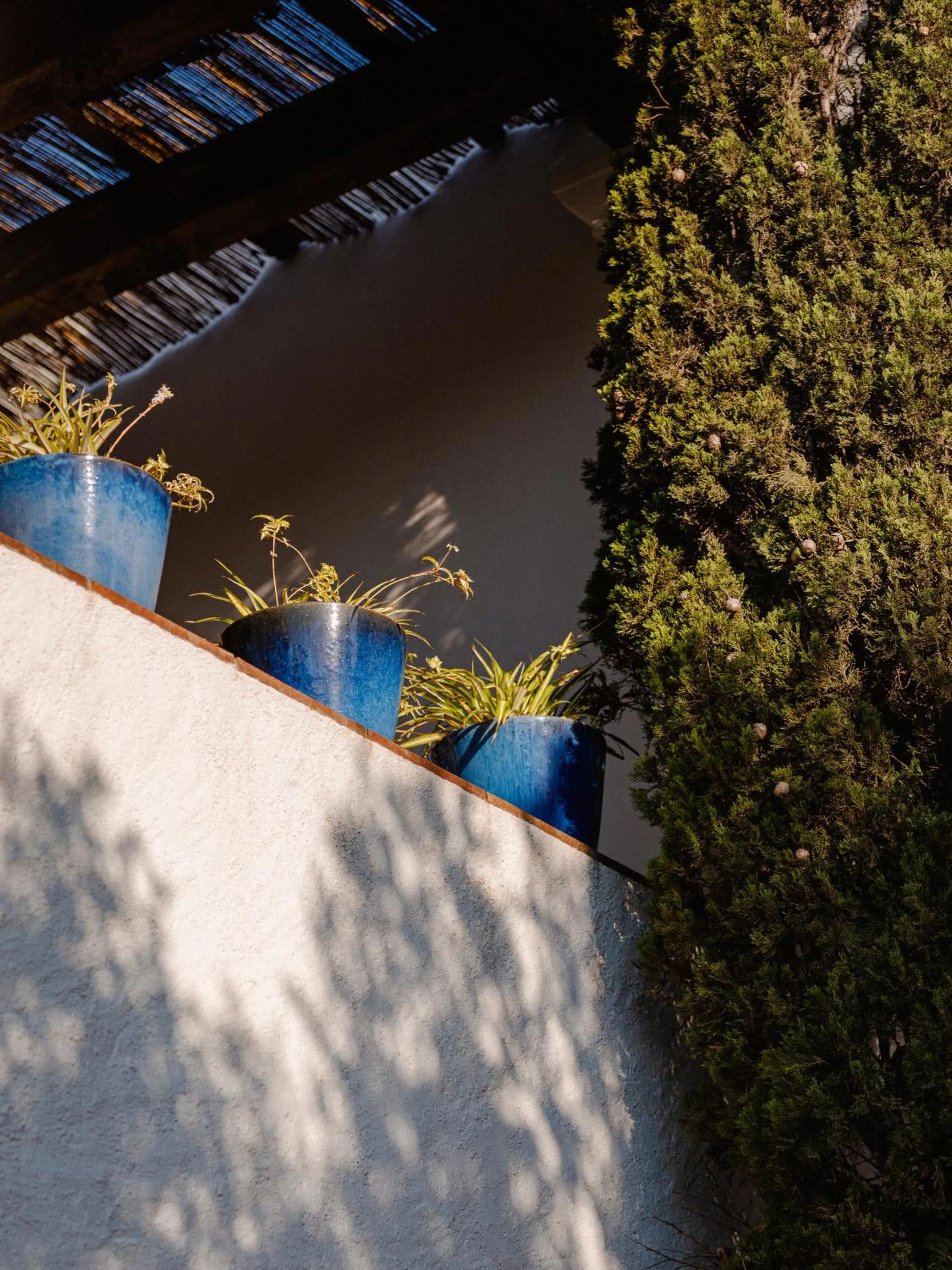 Garden in Hotel Casa Nereta