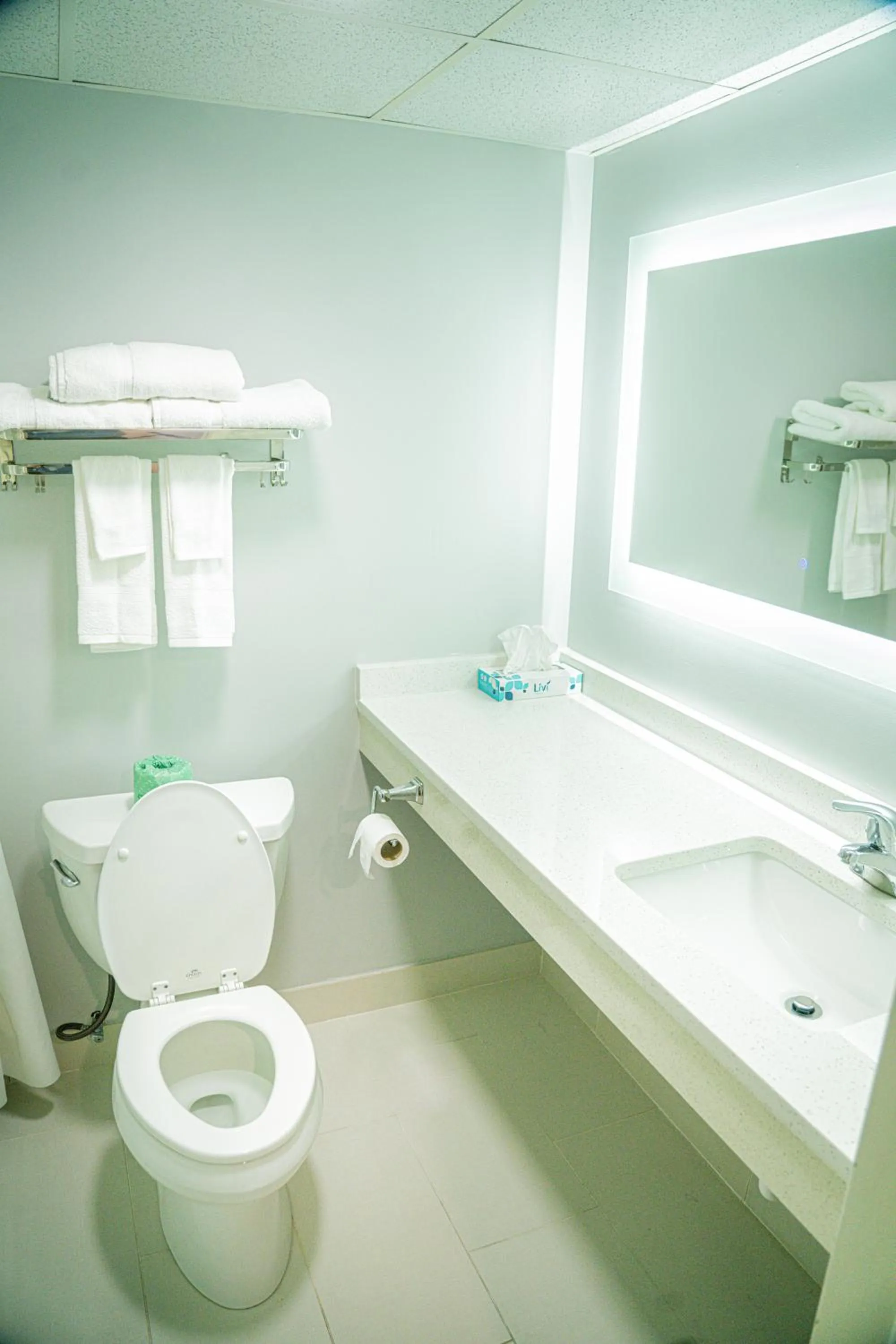 Shower in Royal Inn & Suites