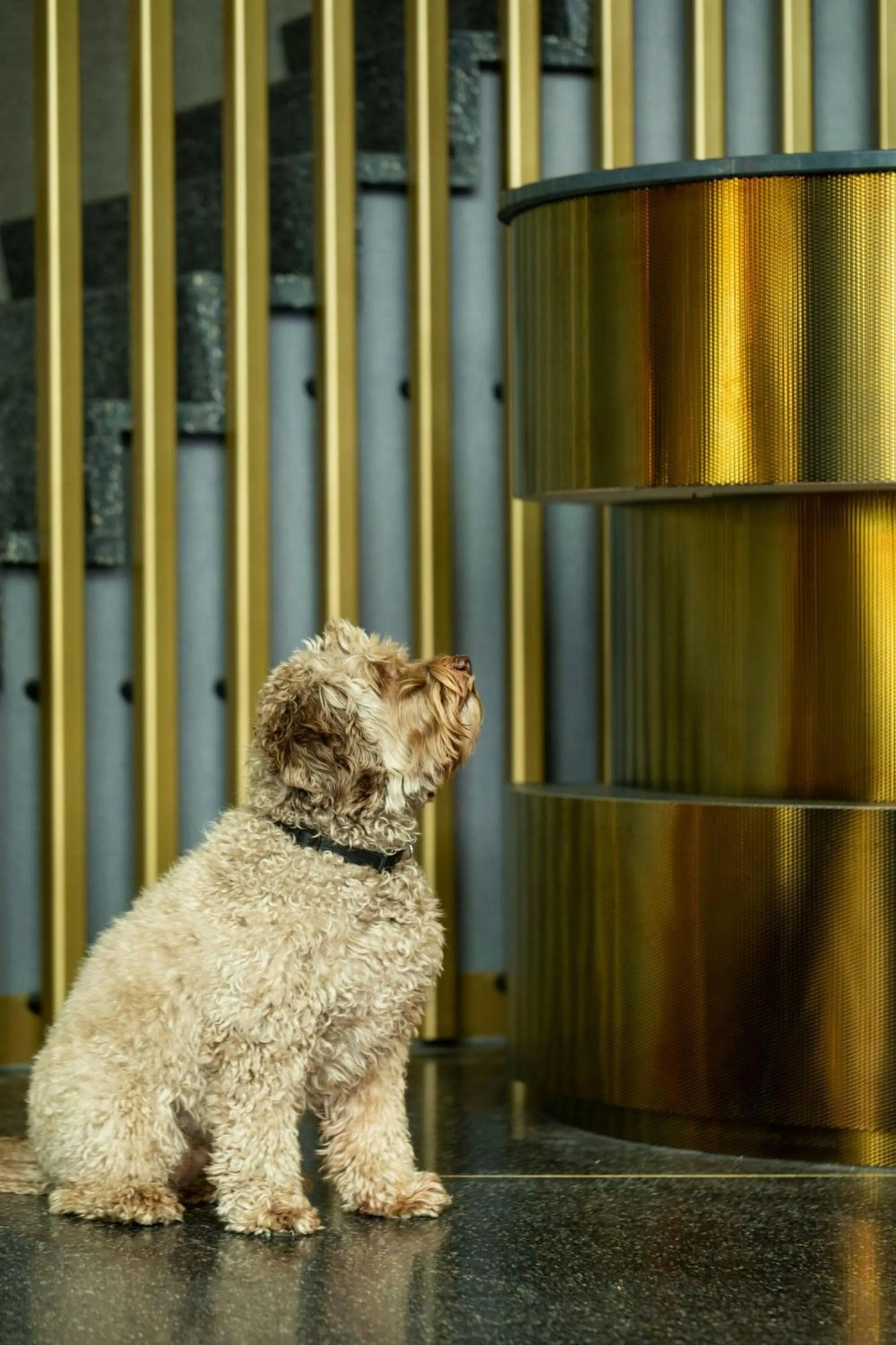 Other in The Den, 's-Hertogenbosch, a Tribute Portfolio Hotel