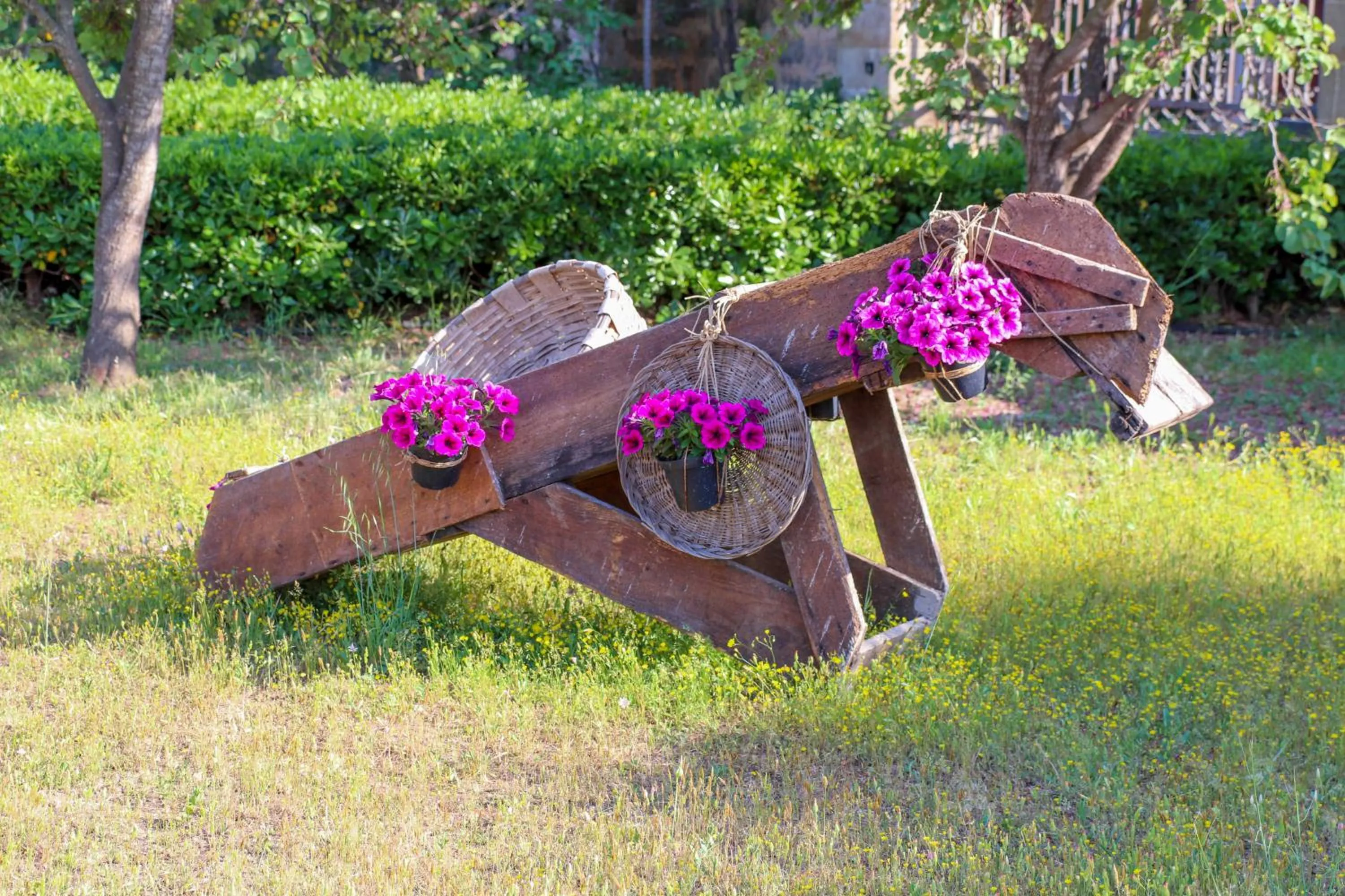 B&B Il Giardino di Paola