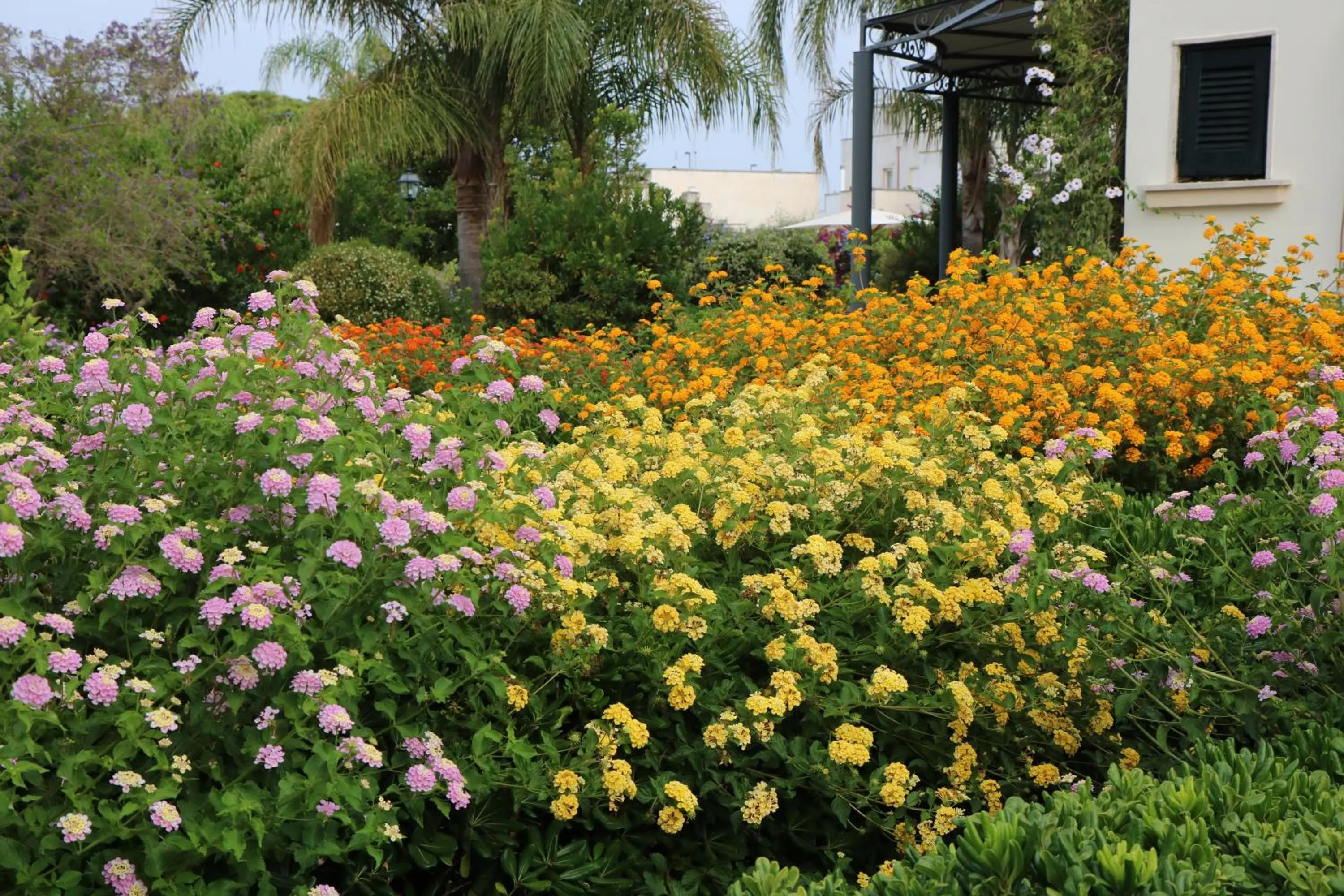B&B Il Giardino di Paola
