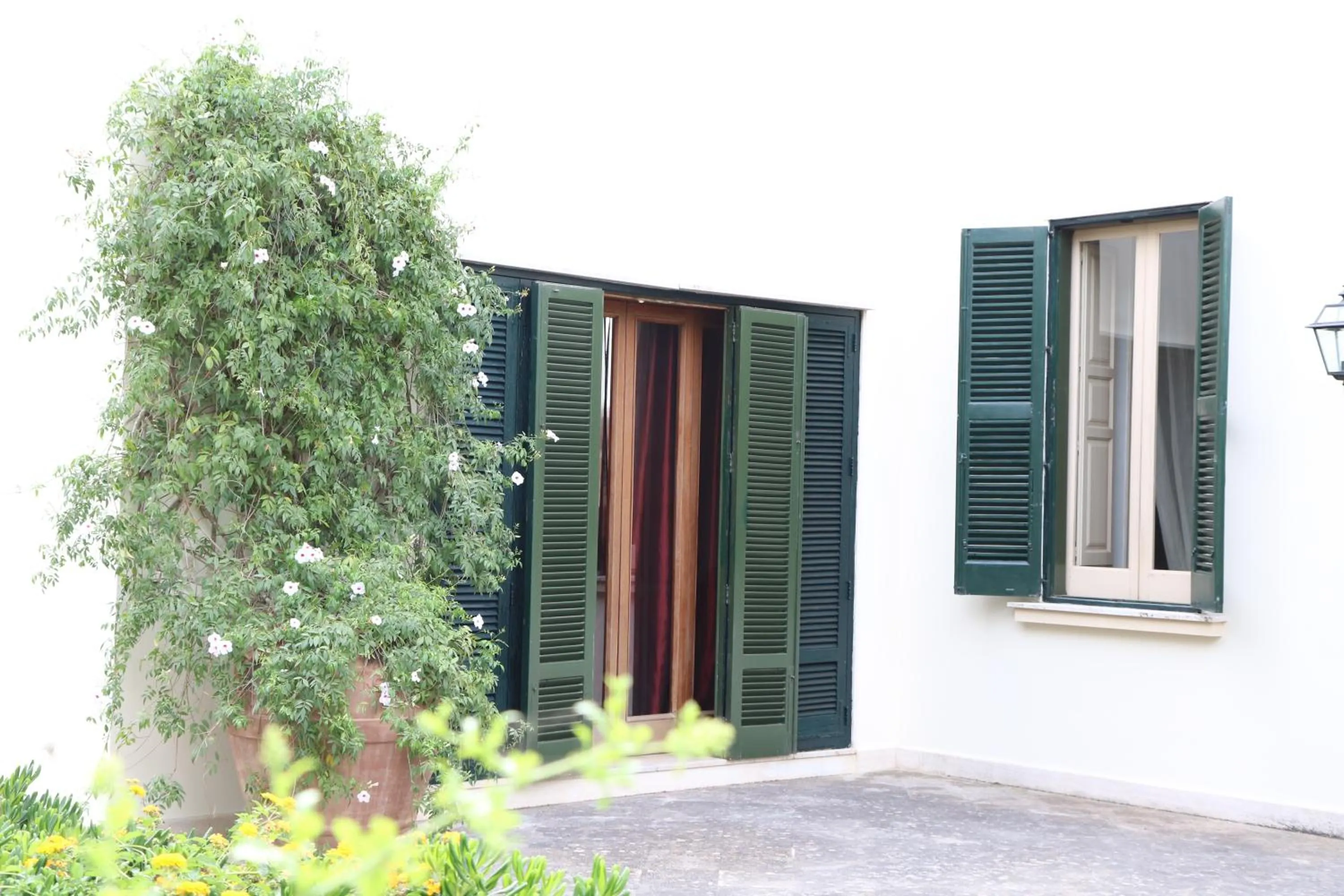 B&B Il Giardino di Paola