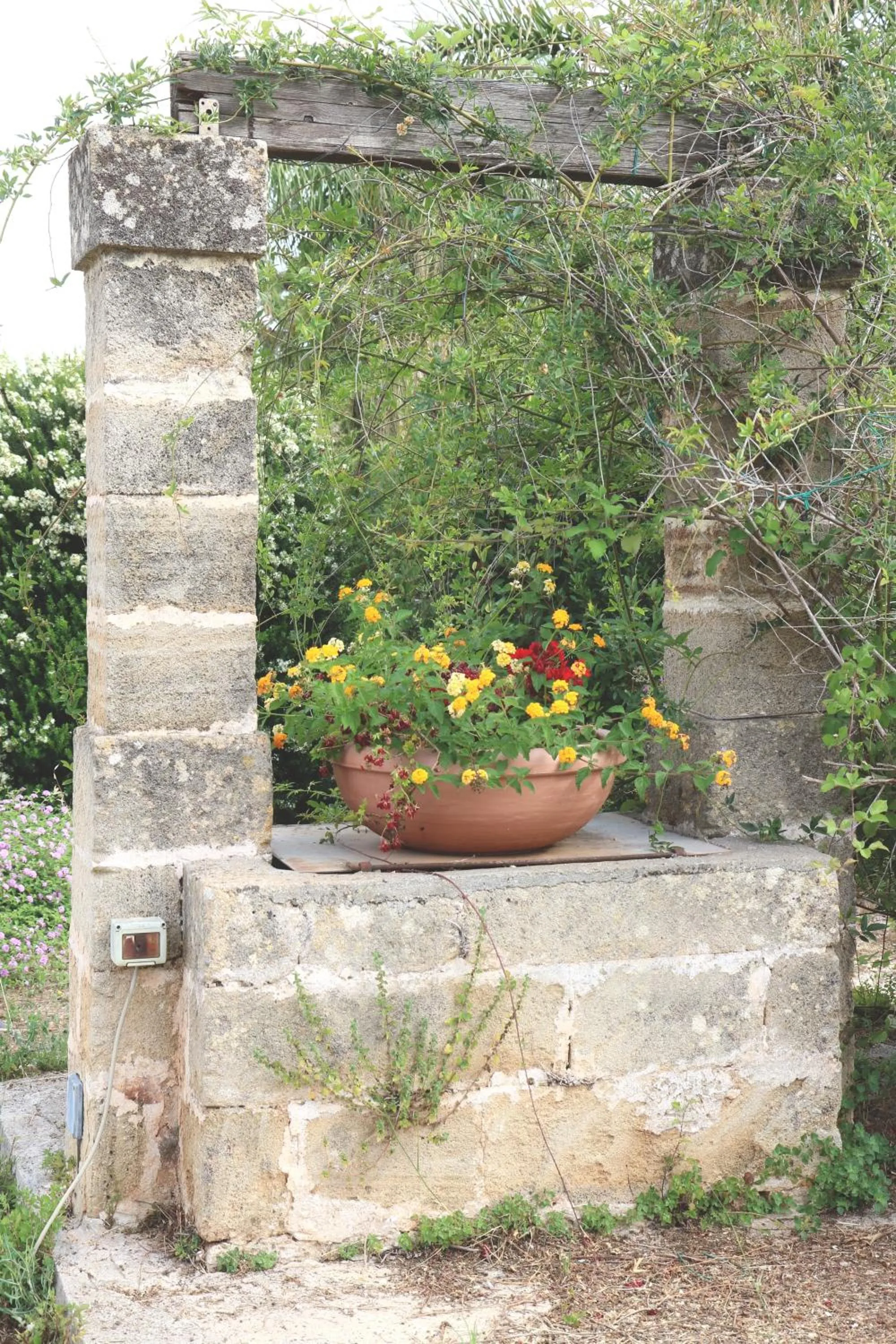 B&B Il Giardino di Paola