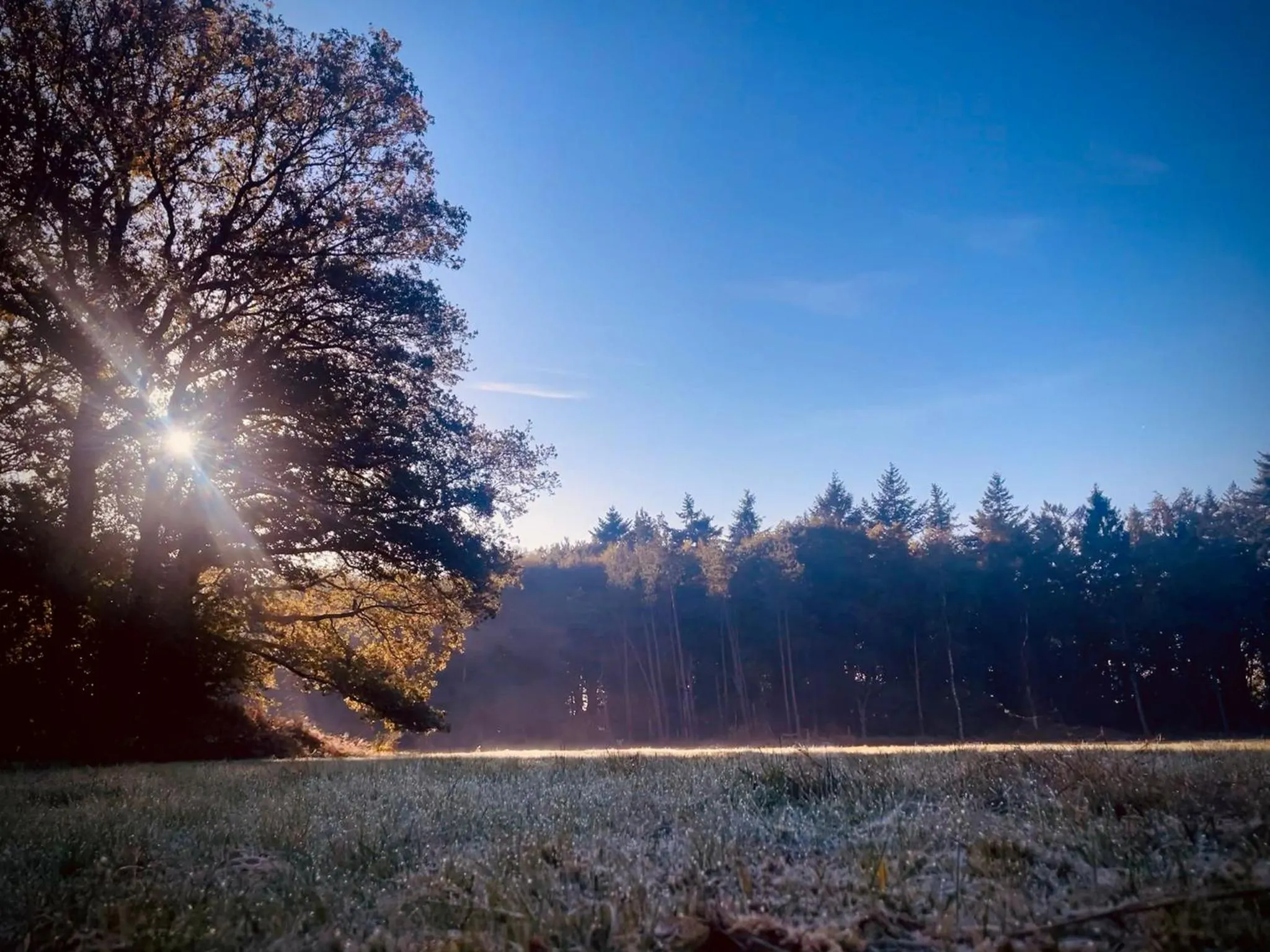 Natural landscape in Klein Soestdijk