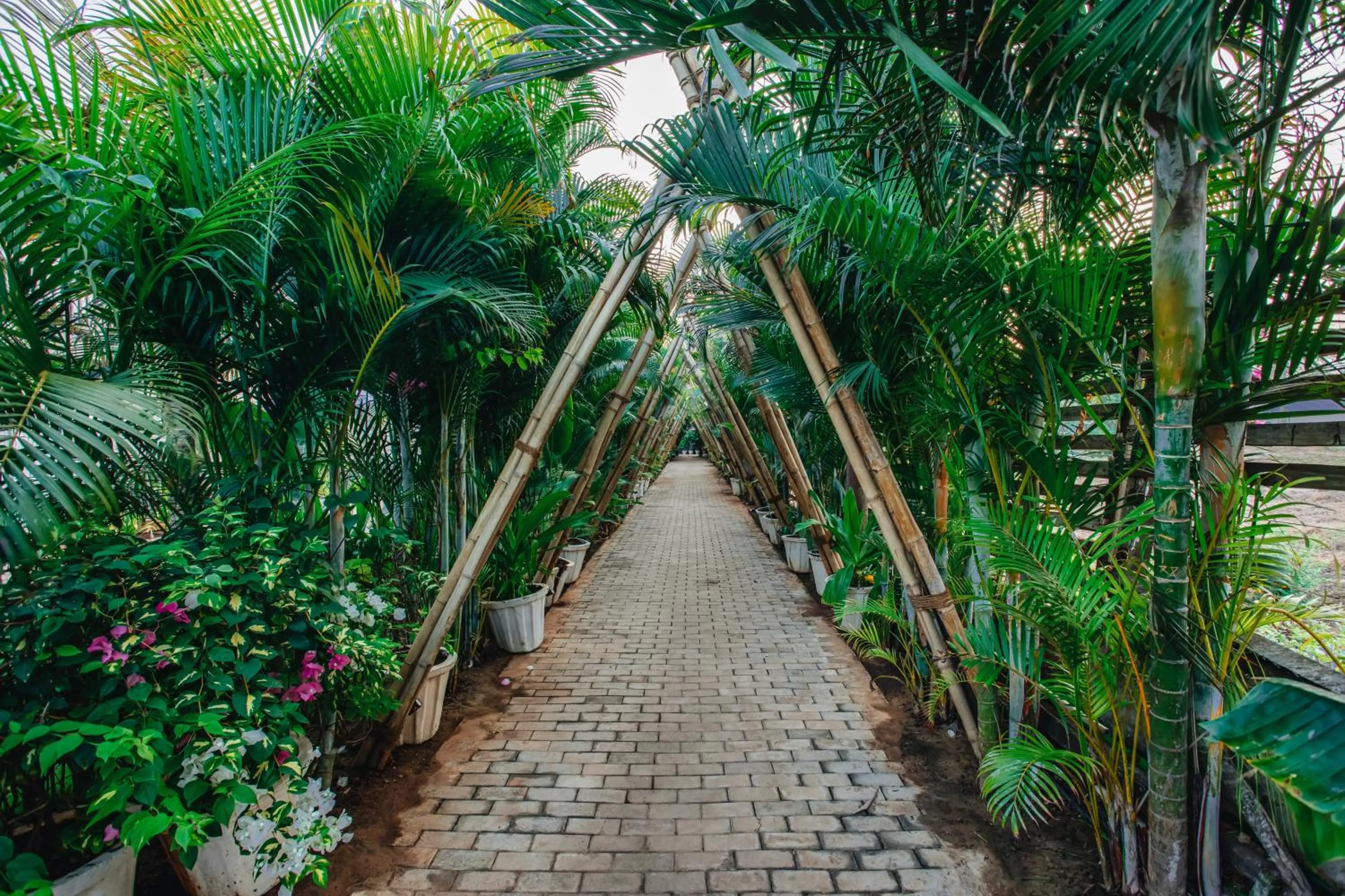 Garden view in Sibaya Beach Resort, Morjim