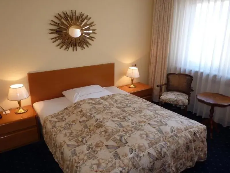 Single Room in Hotel Brunnenhof Single Room in Hotel Brunnenhof