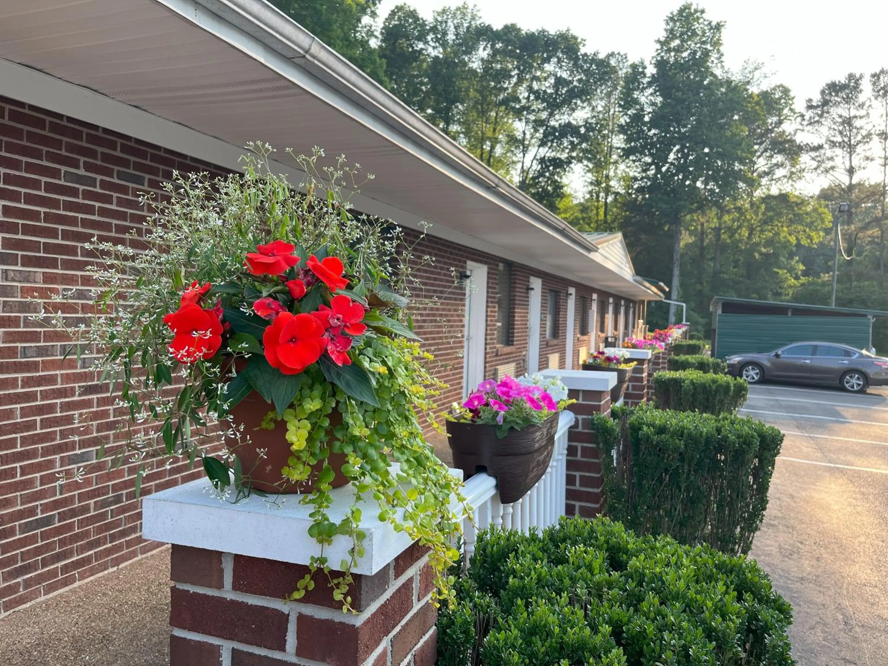 Property building in Pinetree Inn