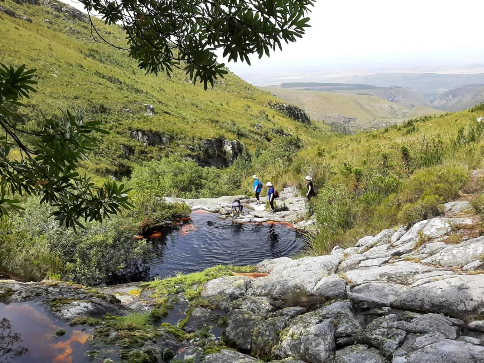 Zeekoegat Historical Homestead