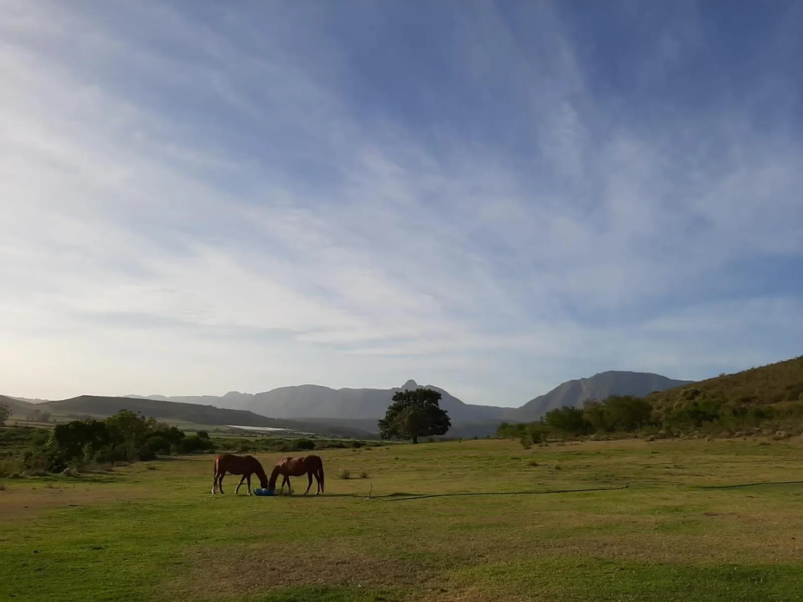 Zeekoegat Historical Homestead