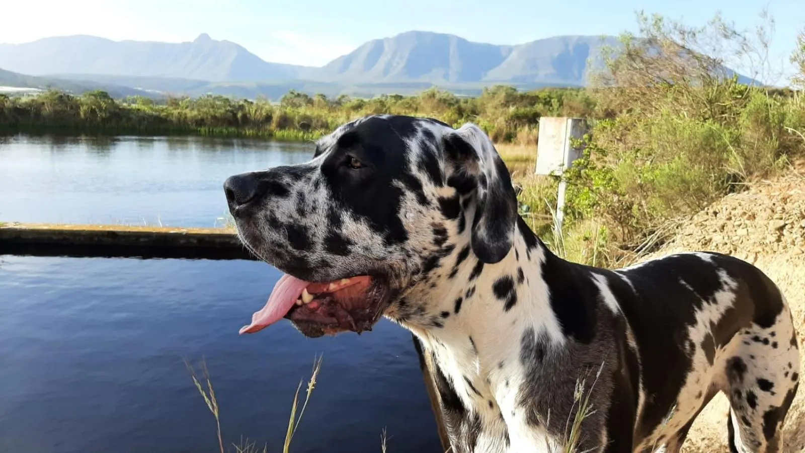 Zeekoegat Historical Homestead