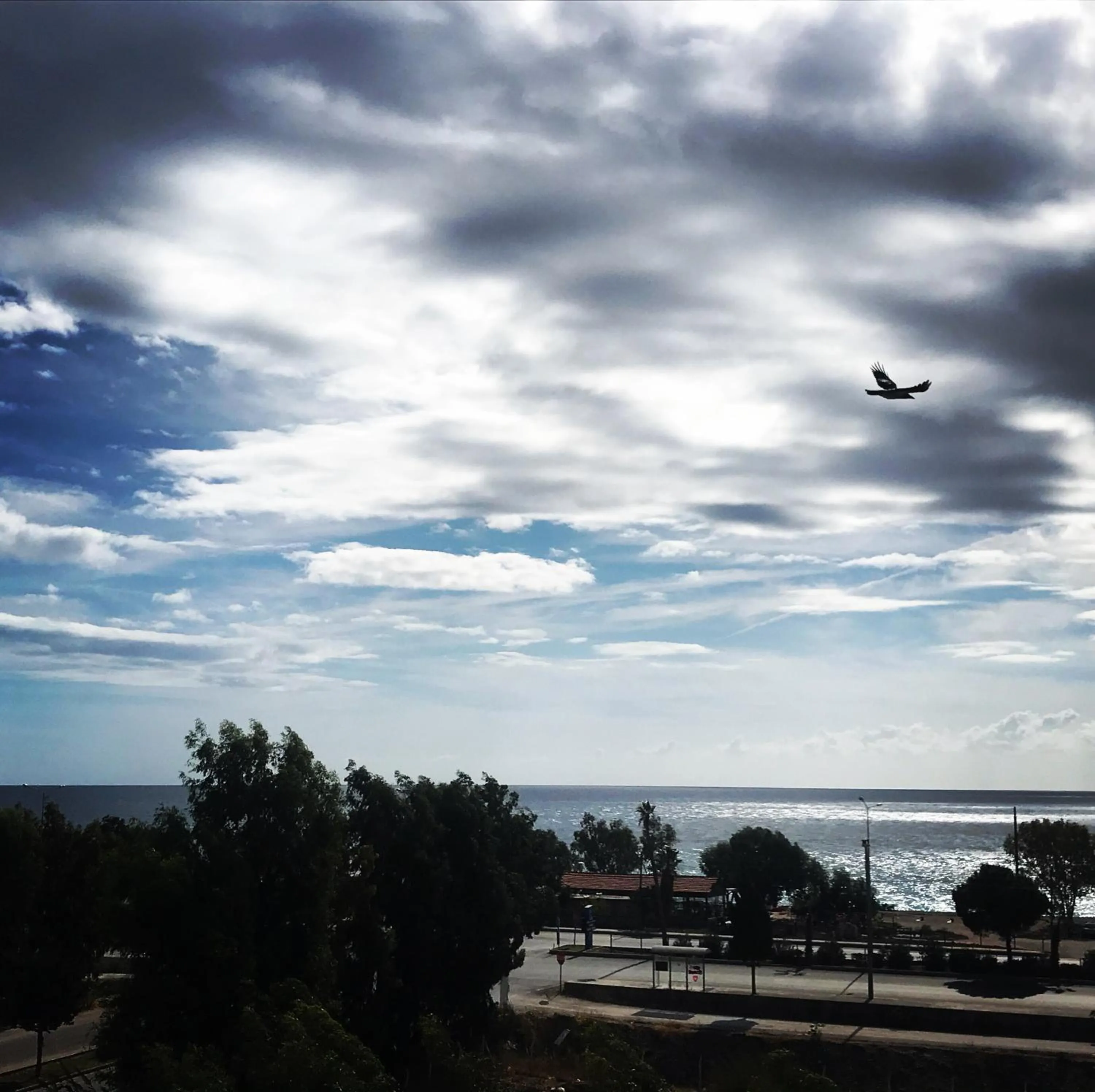 Street view in SORAL APART