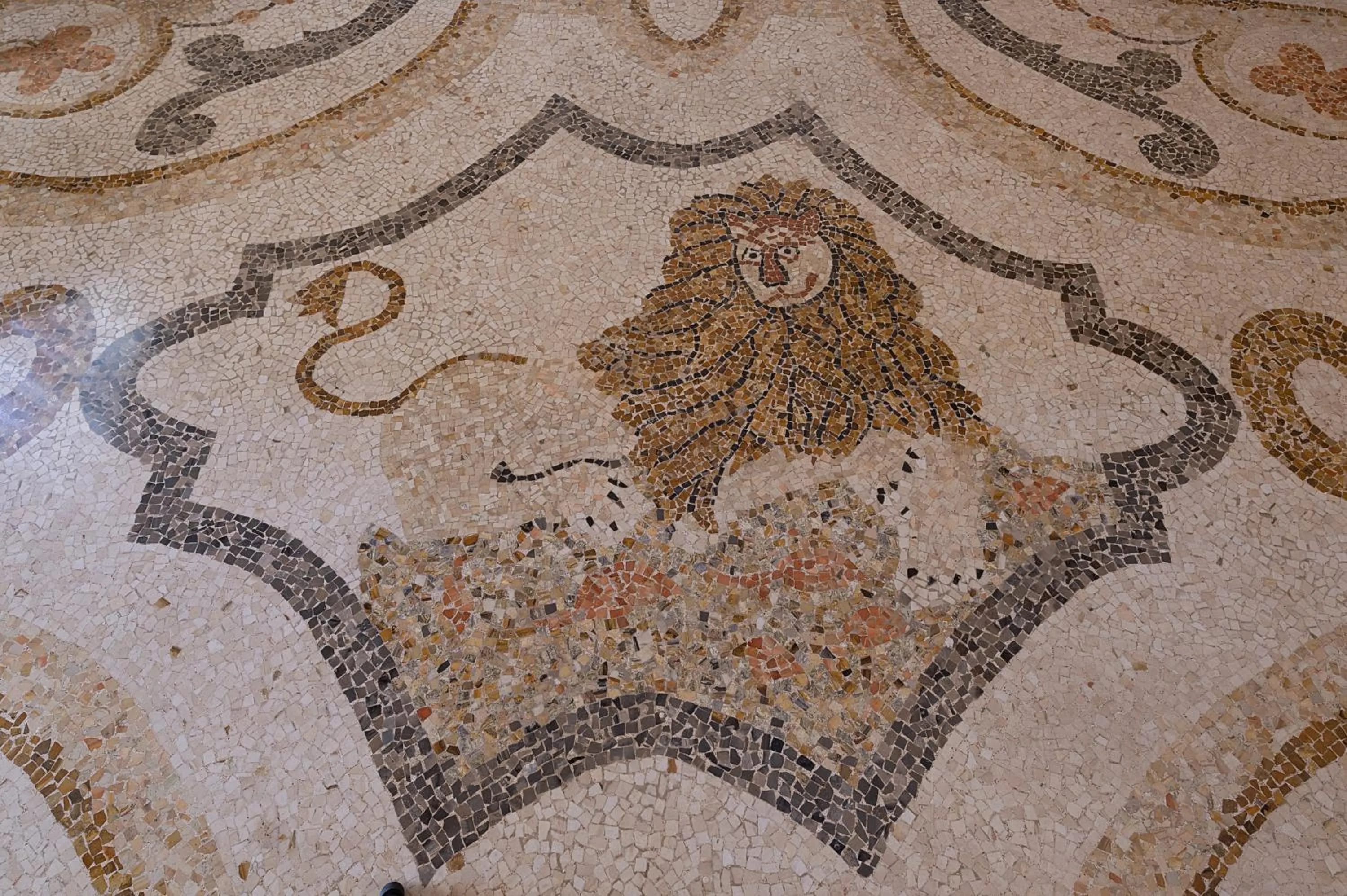 Decorative detail in Palazzo Francesco Grassi