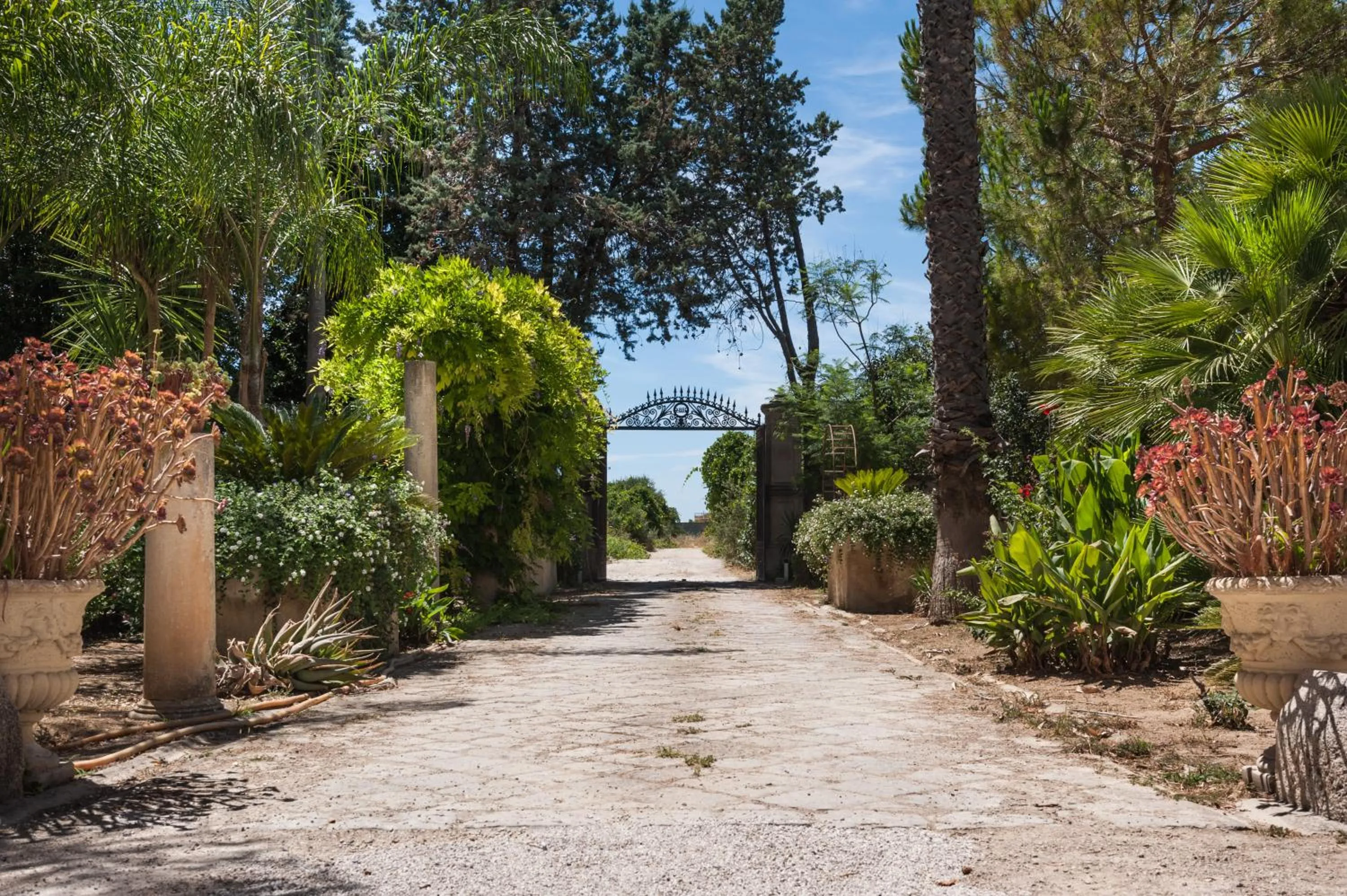 Garden in Palazzo Francesco Grassi