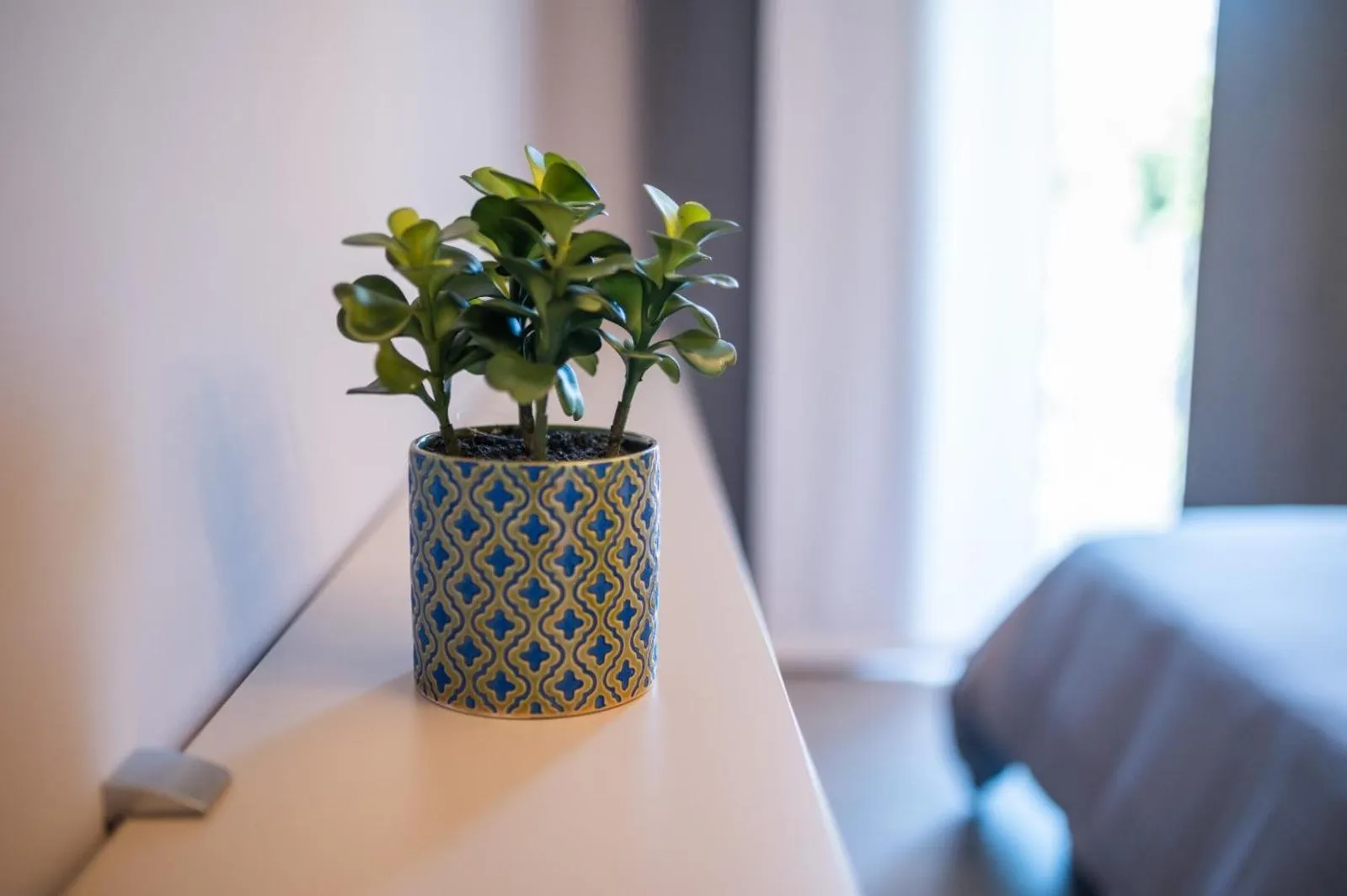 Grey House Guest House Luxury