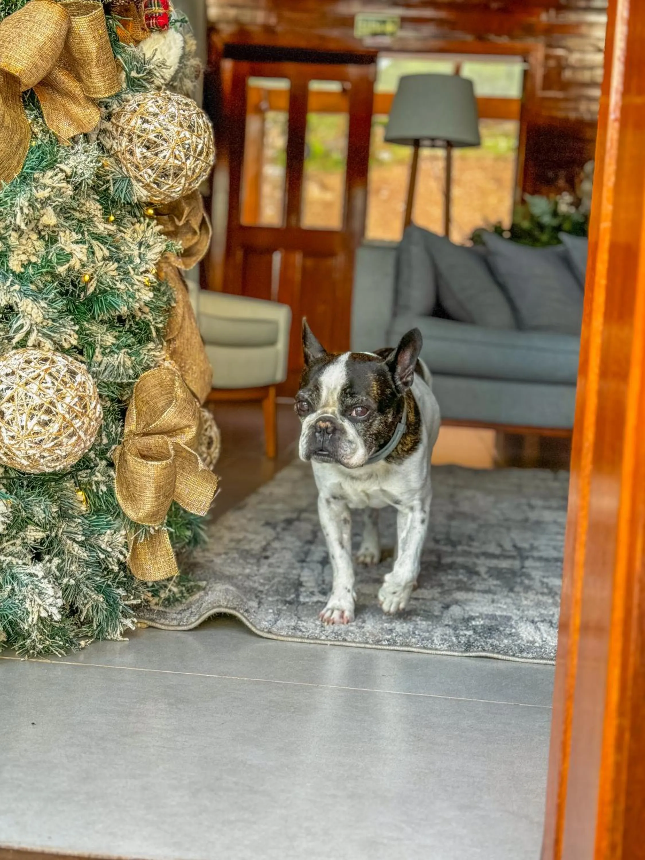 Pets in Valle Ristretto - Exclusivo para Casais