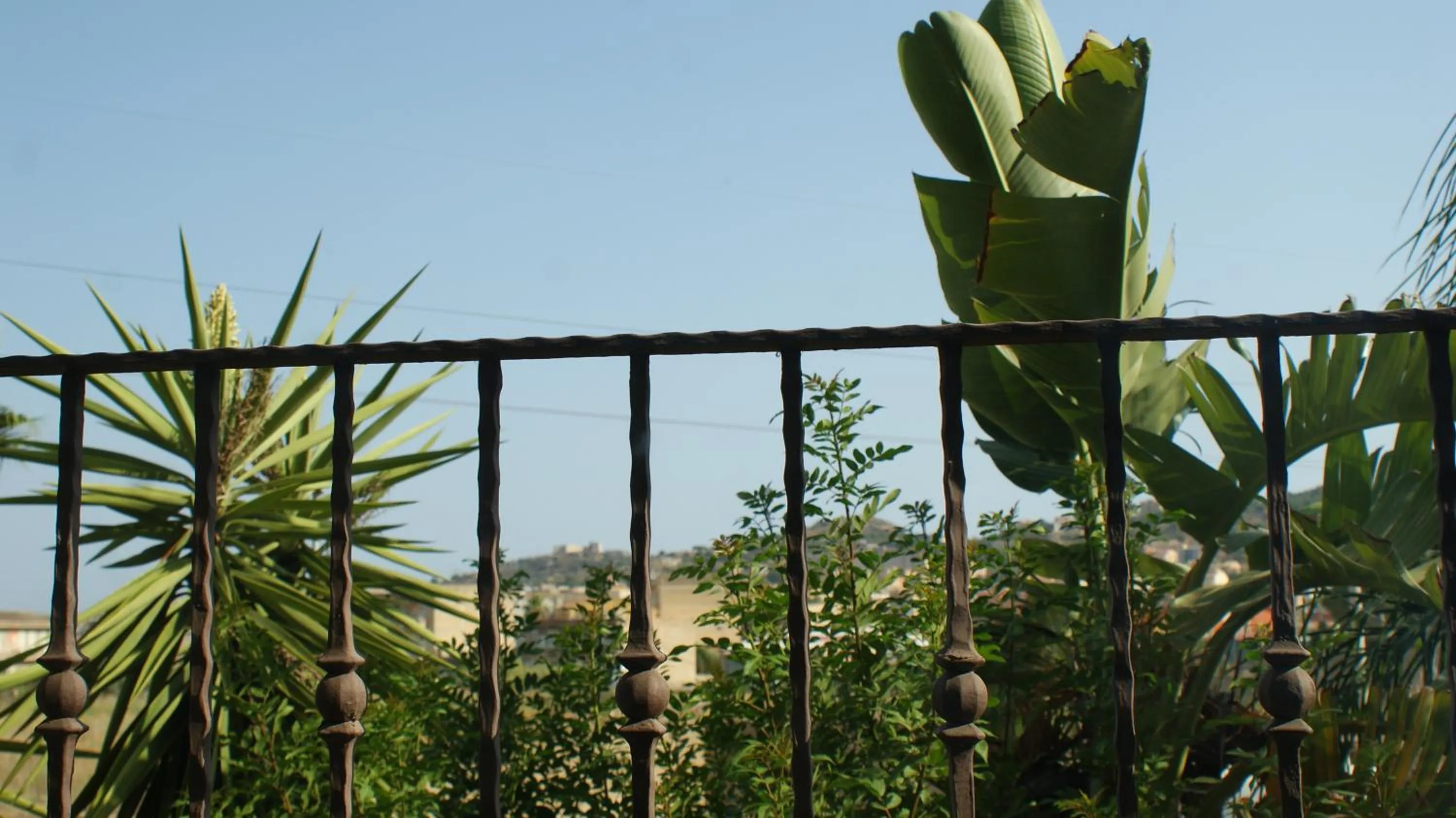 View (from property/room) in Mimí Hotel