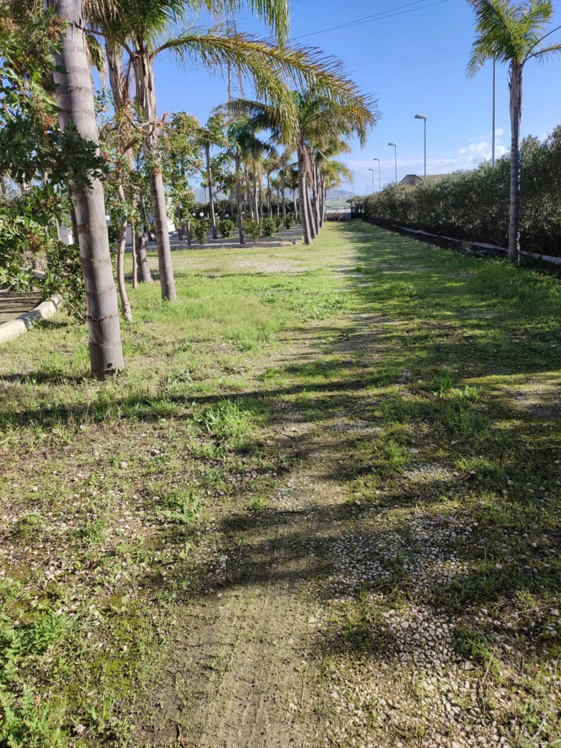 Natural landscape in Mimí Hotel