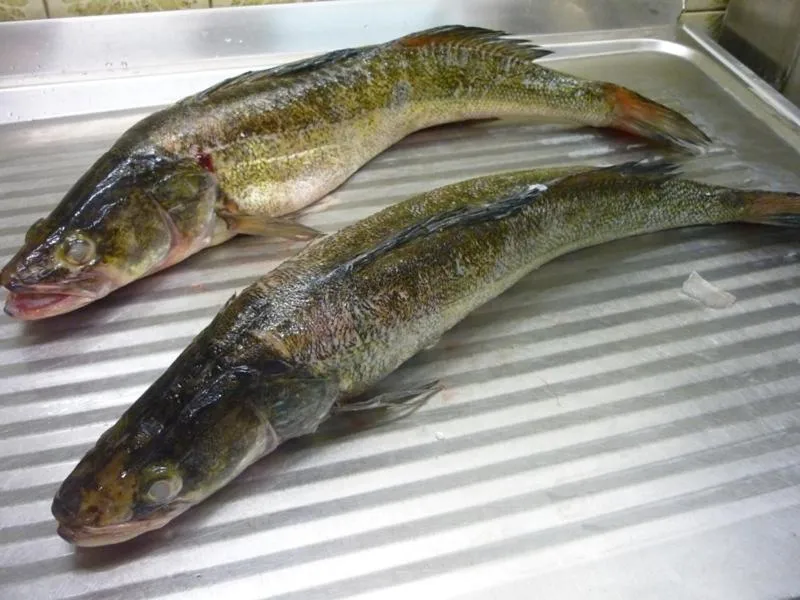 Food close-up in Hotel zur Brücke