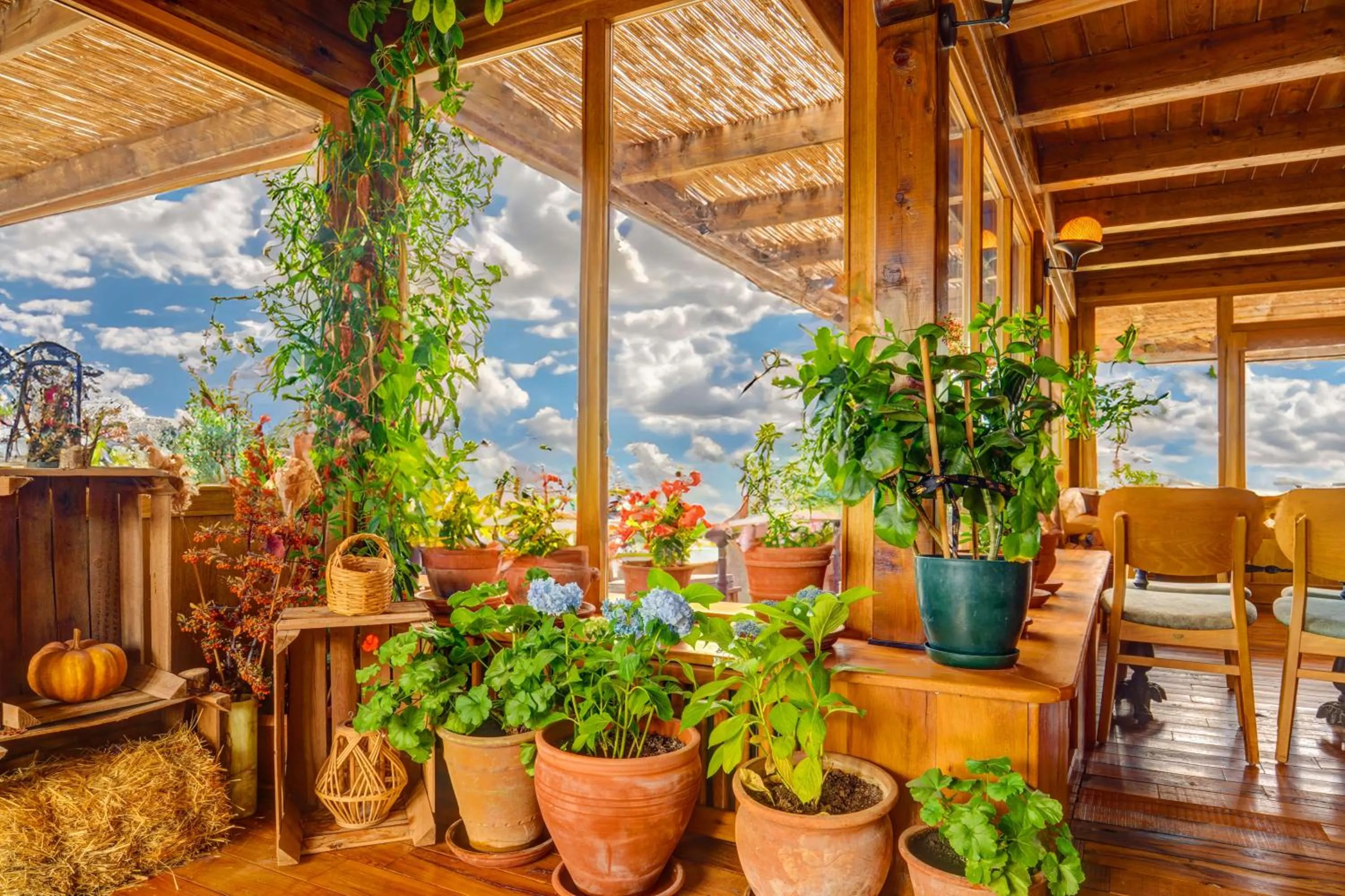 Natural landscape in Vasıl Cave Hotel