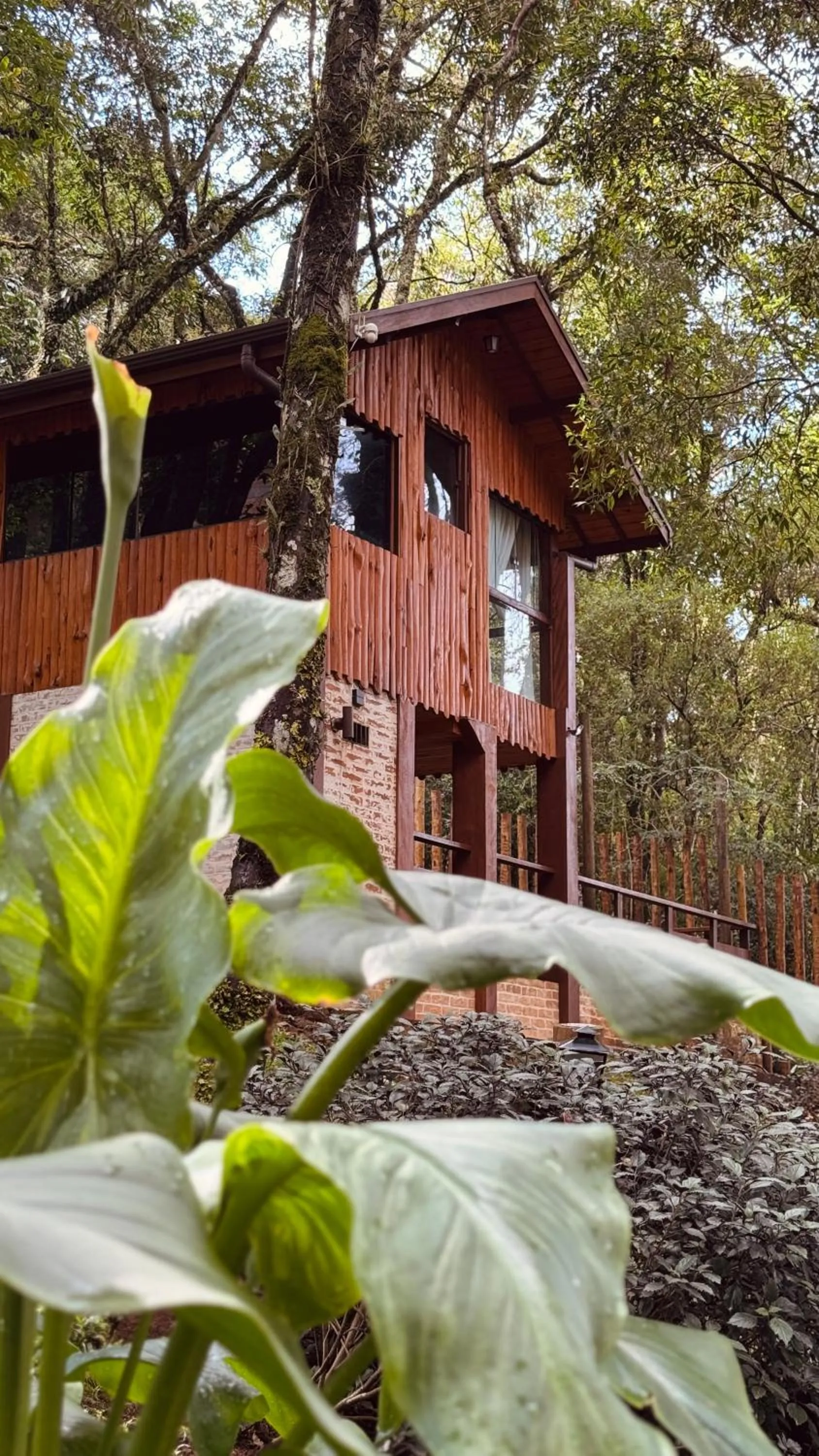 Estalagem Serra de Minas em Monte Verde