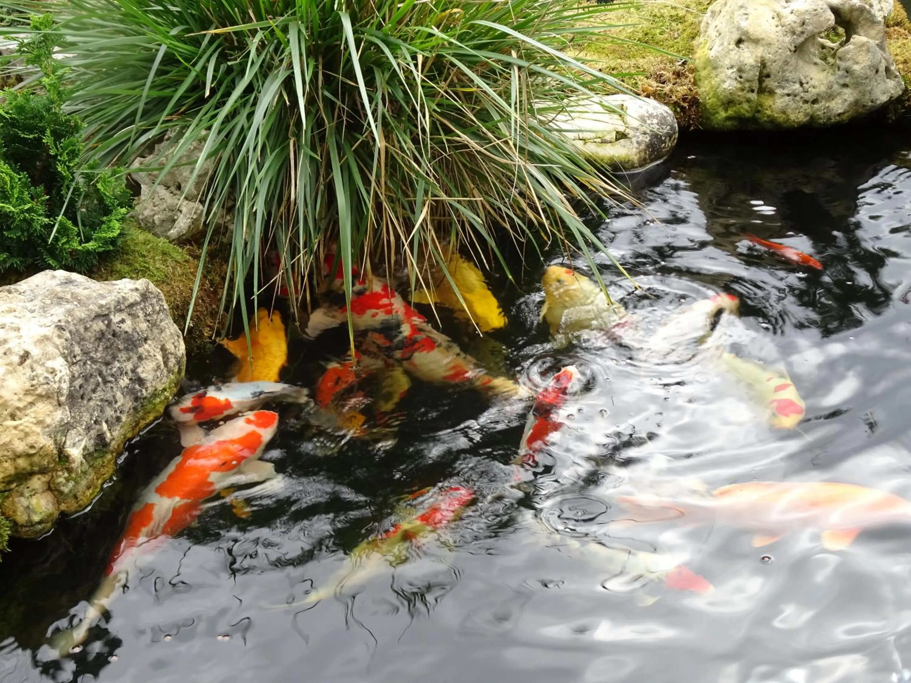 Gästehaus Biedermann